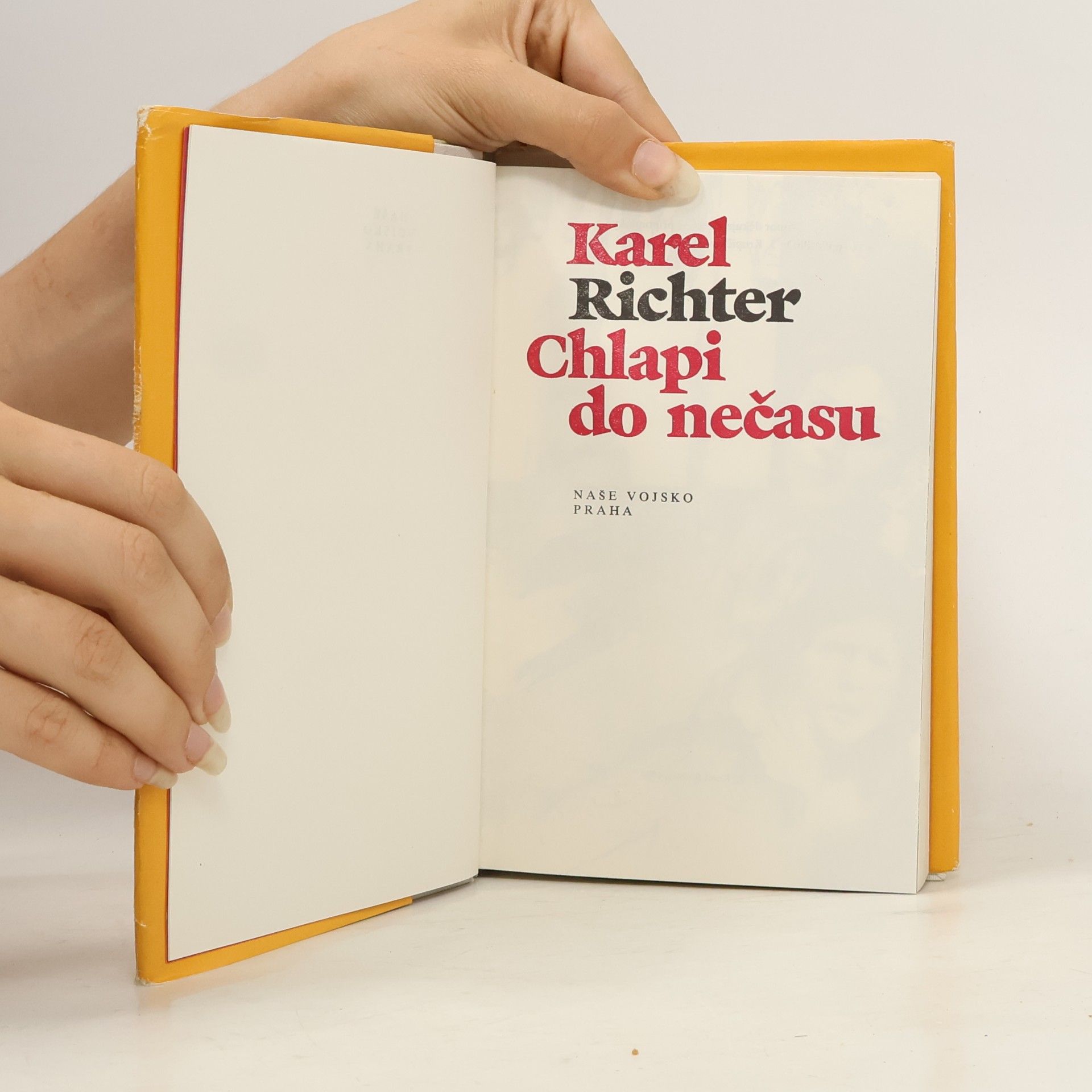 Karel Richter Chlapi do nečasu