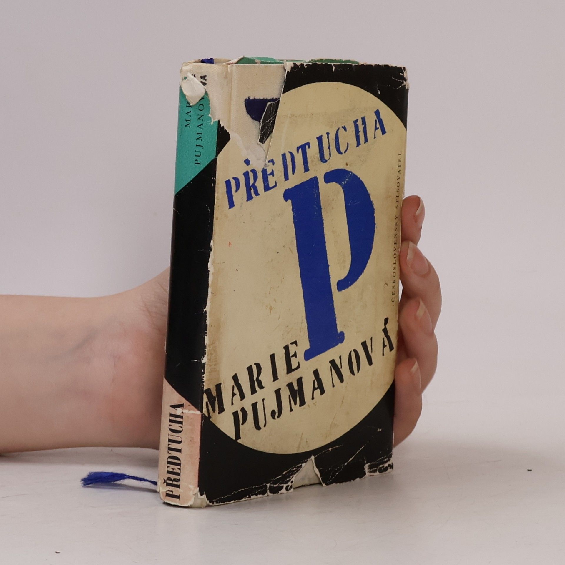 Marie Pujmanová Předtucha