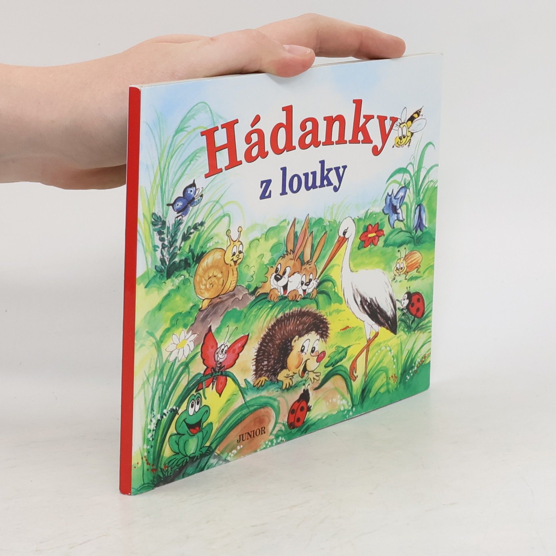 Zuzana Pospíšilová Hádanky z louky