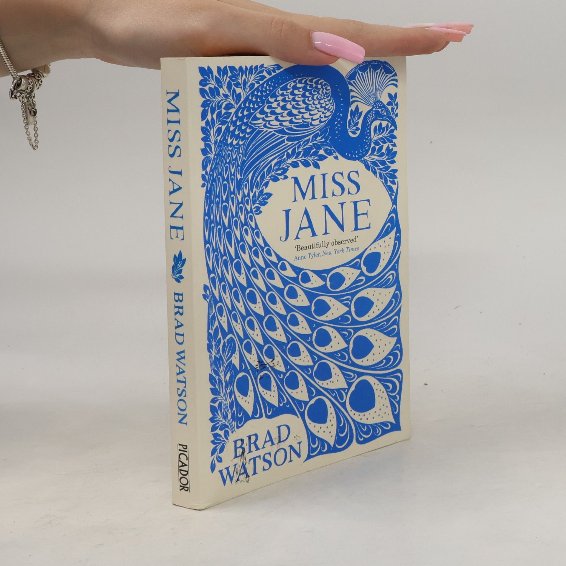 Brad Watson Miss Jane