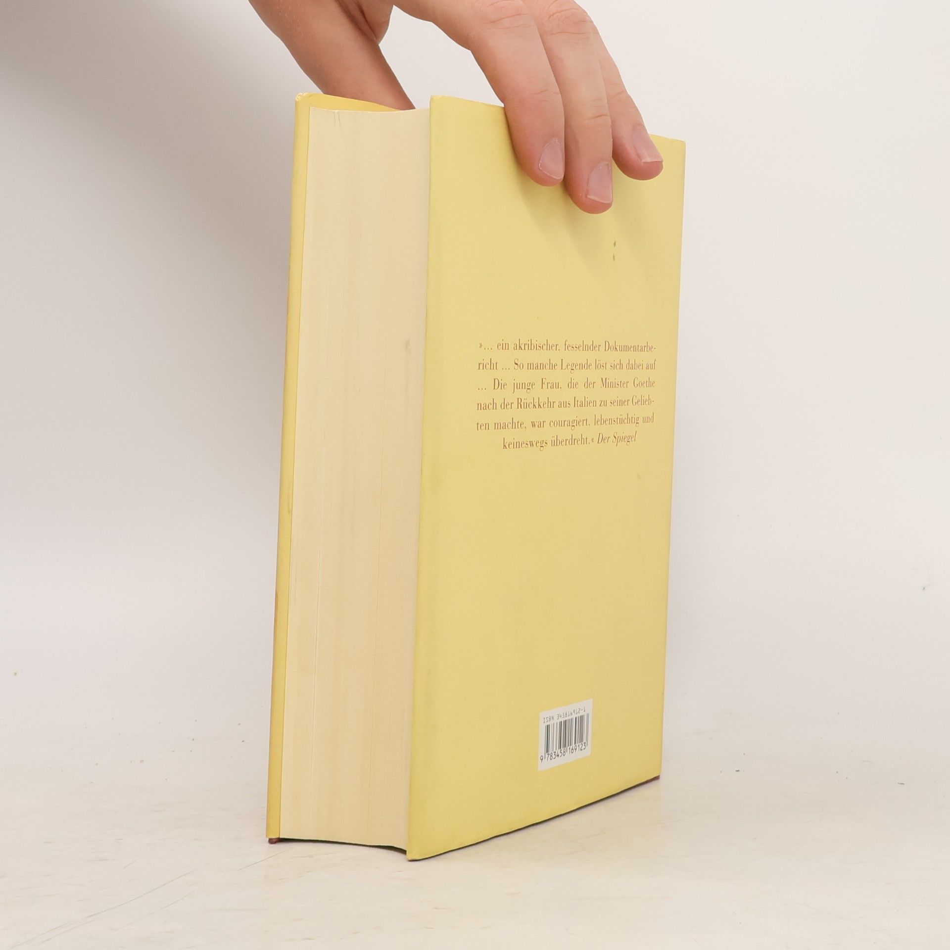 Sigrid Damm Christiane und Goethe
