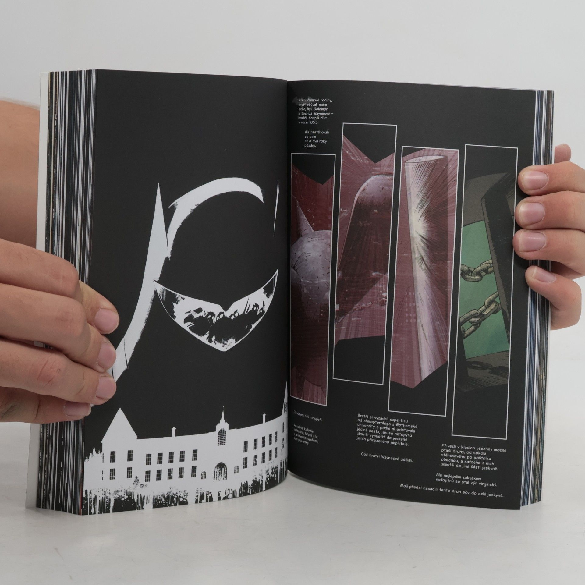 Scott Snyder Batman. Soví sága