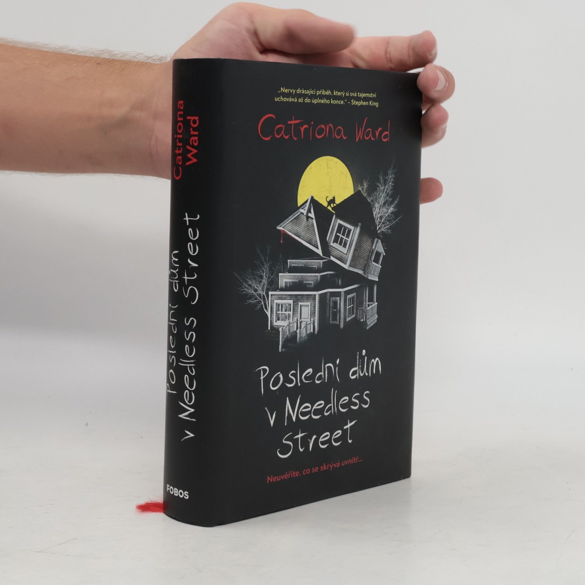 Catriona Ward Poslední dům v Needless Street