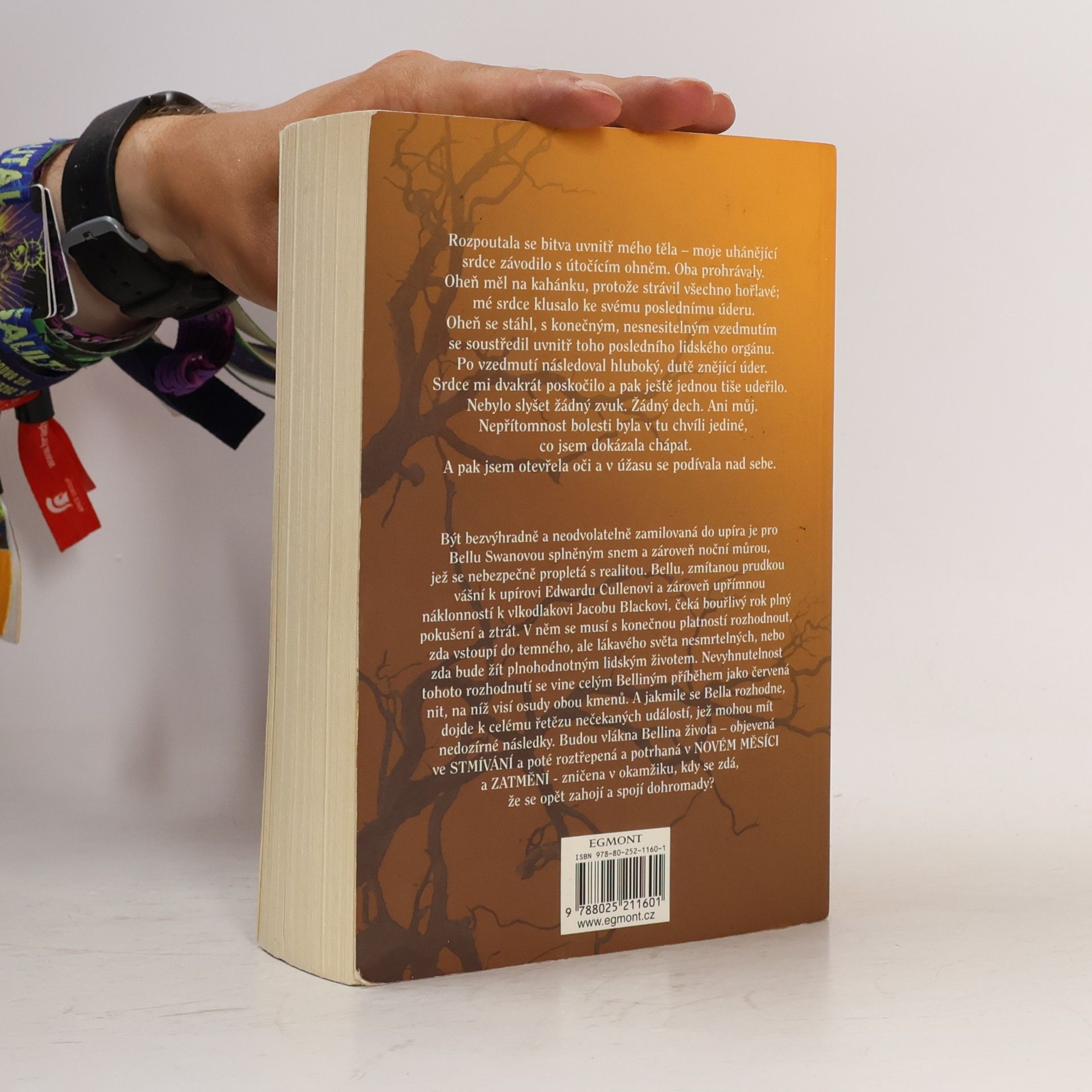 Stephenie Meyer Rozbřesk