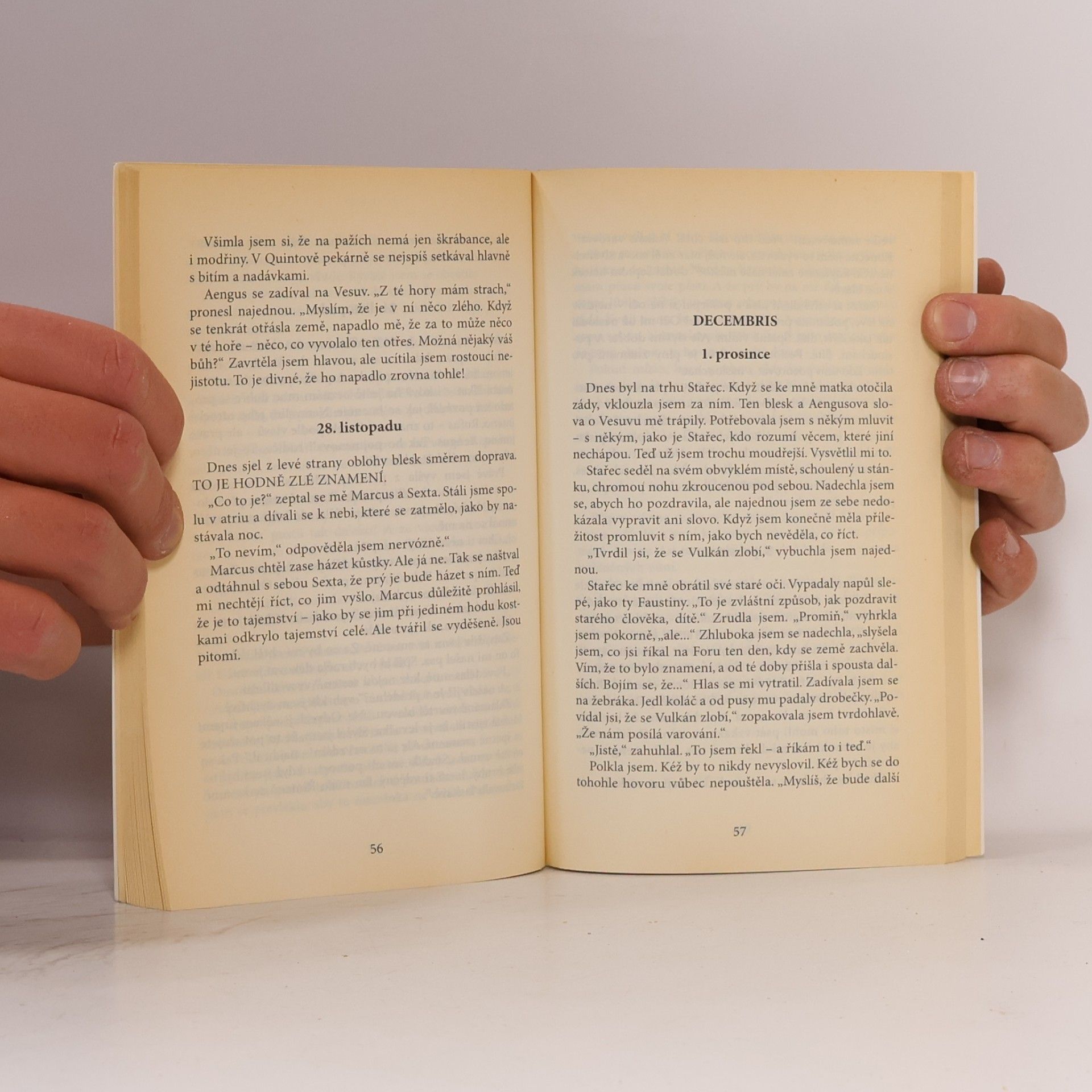 Sue Reid Pompeje : [deník dívky z let 78-79 n. l.]