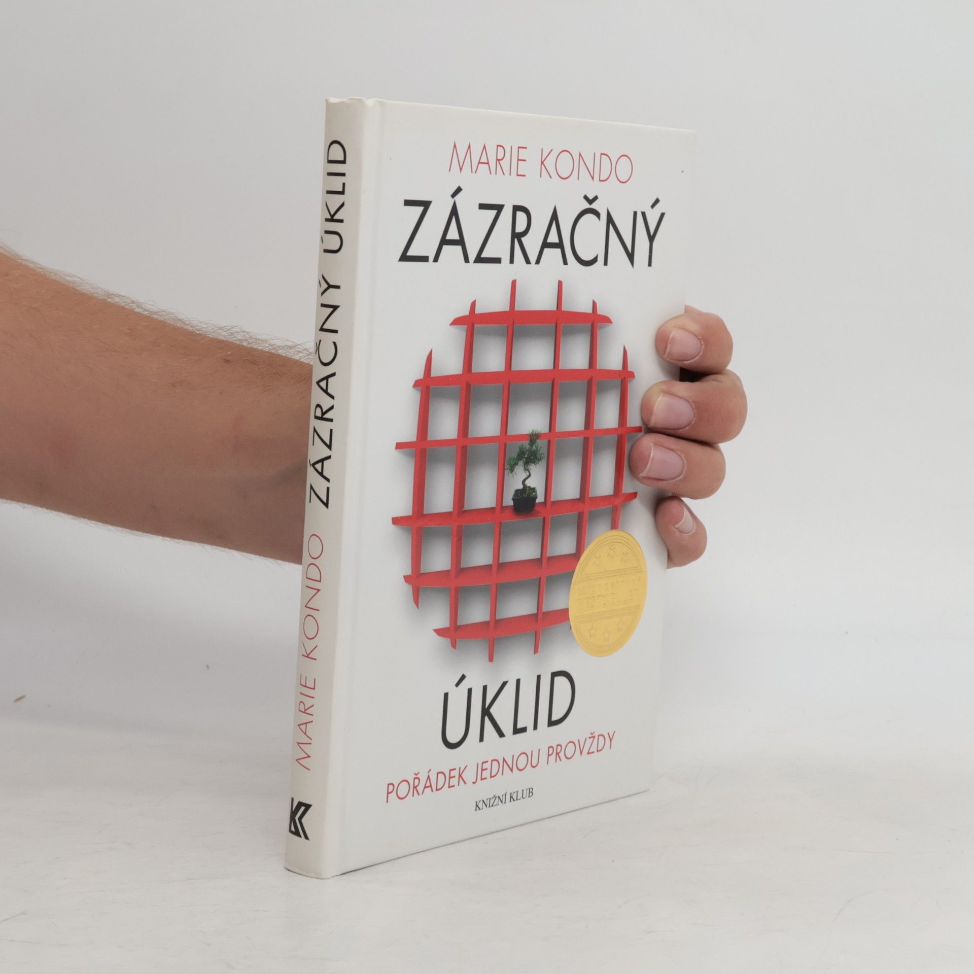 Marie Kondo Zázračný úklid