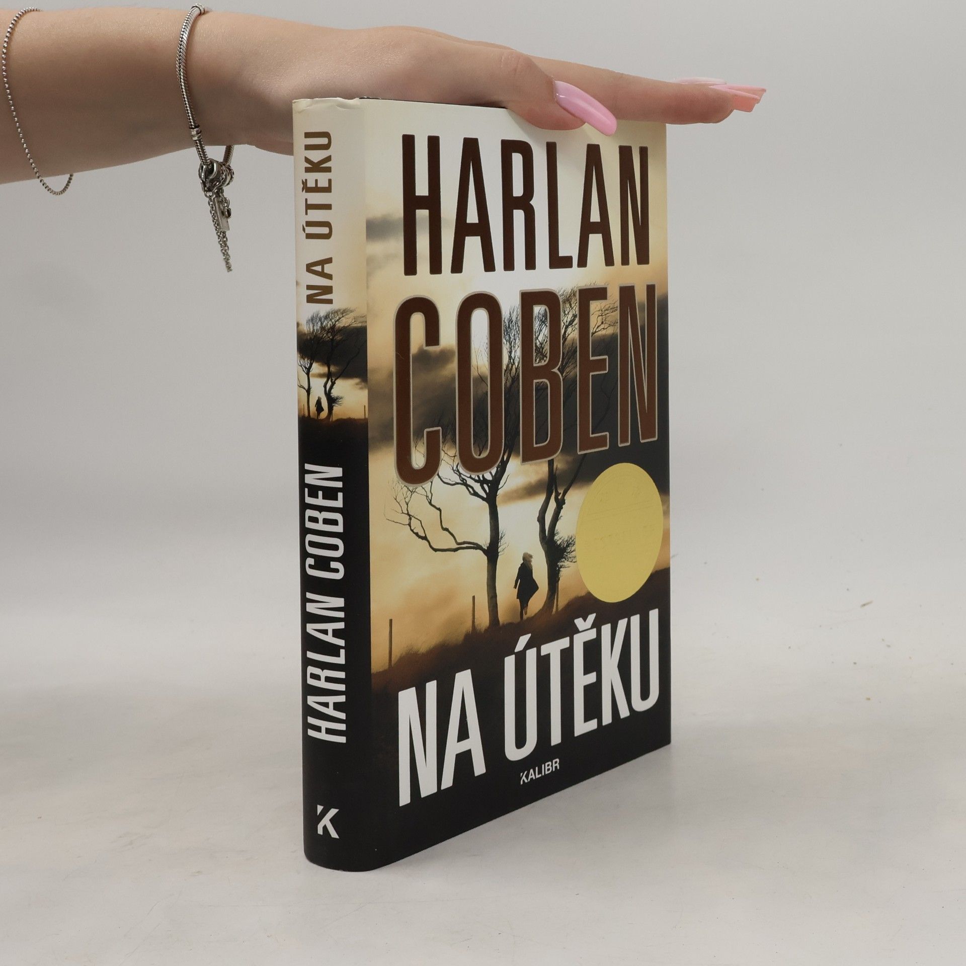 Harlan Coben Na útěku