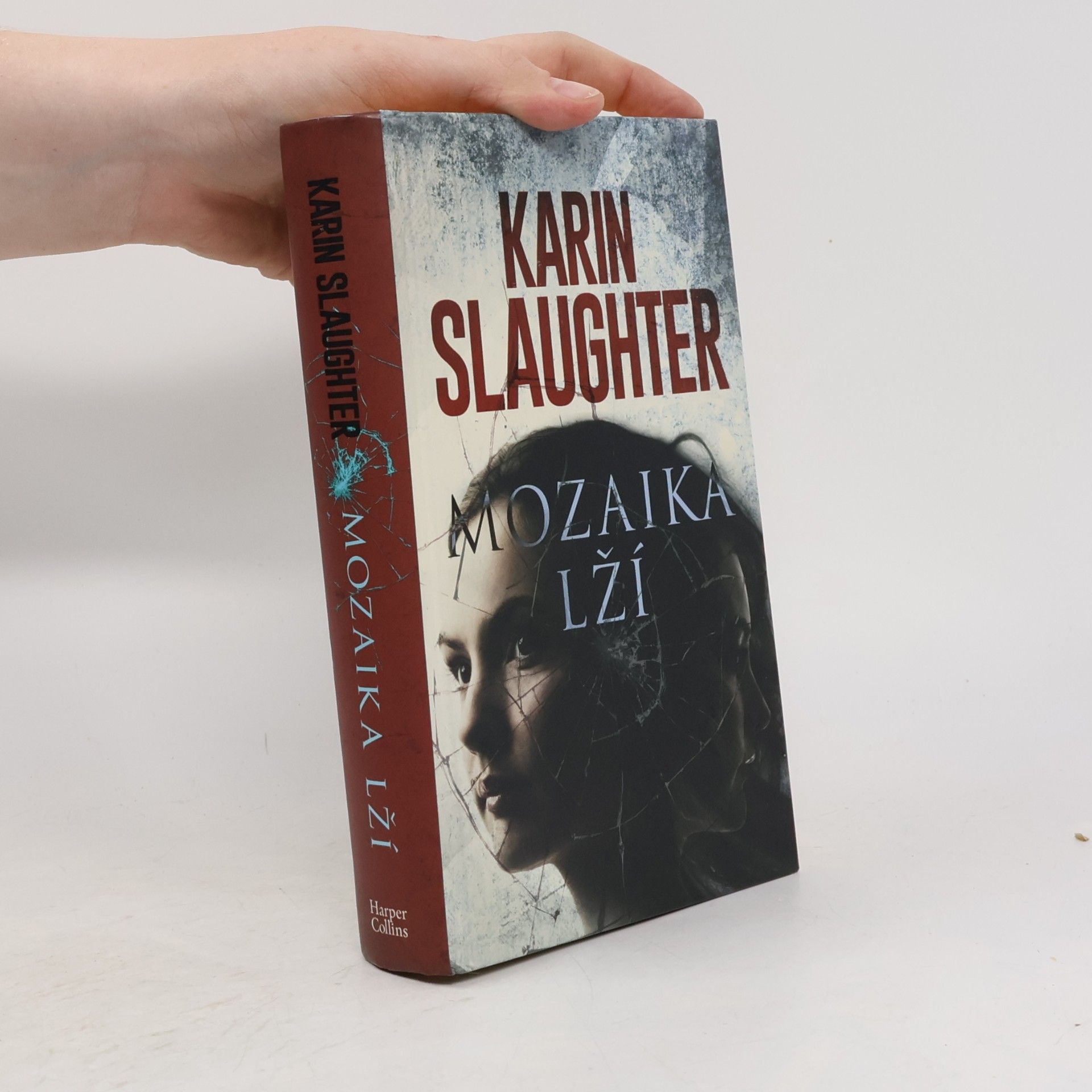 Karin Slaughter Mozaika lží