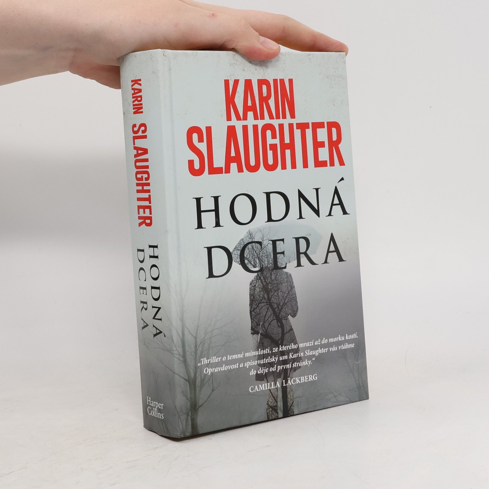 Karin Slaughter Hodná dcera