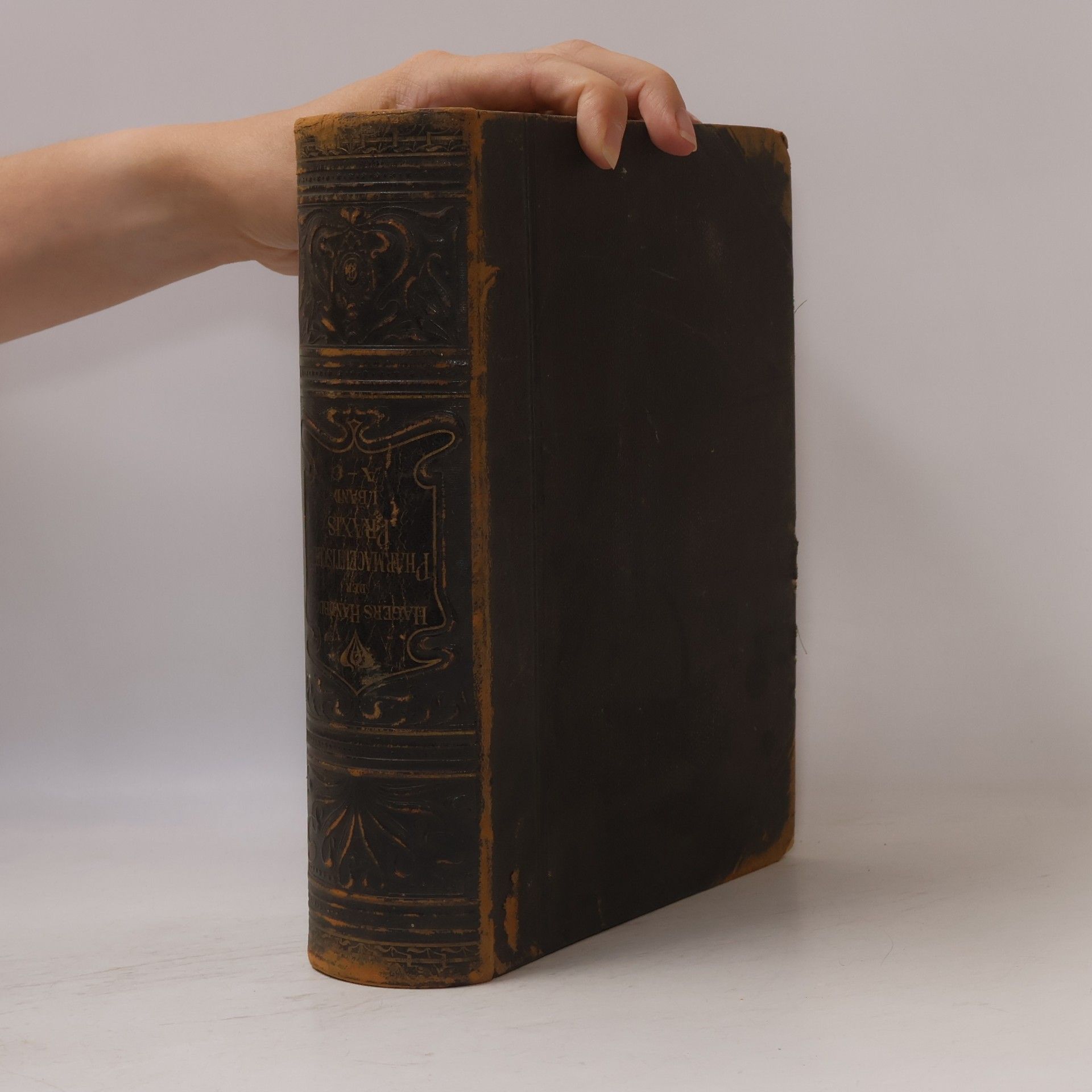 Autorenkollektiv Hagers Handbuch der Pharmaceutischen Praxis 1