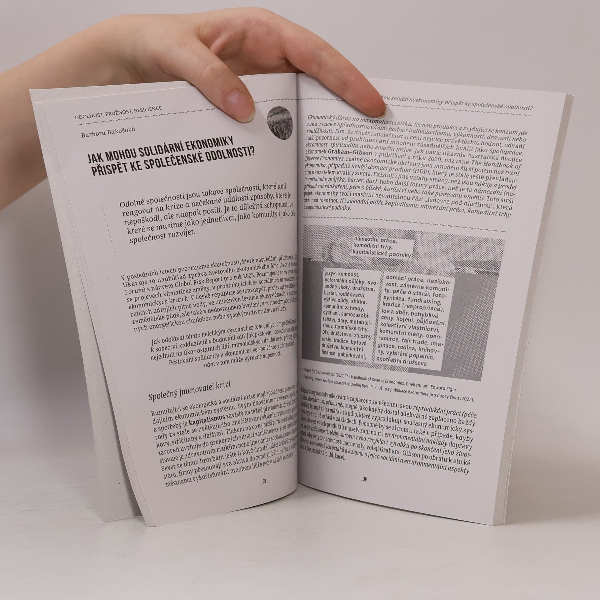 Autores varios Odolnost, pružnost, resilience