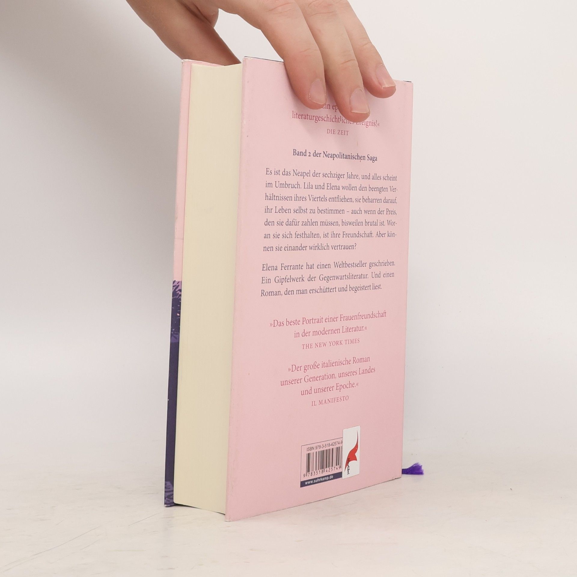 Elena Ferrante Die Geschichte eines neuen Namens: Jugendjahre