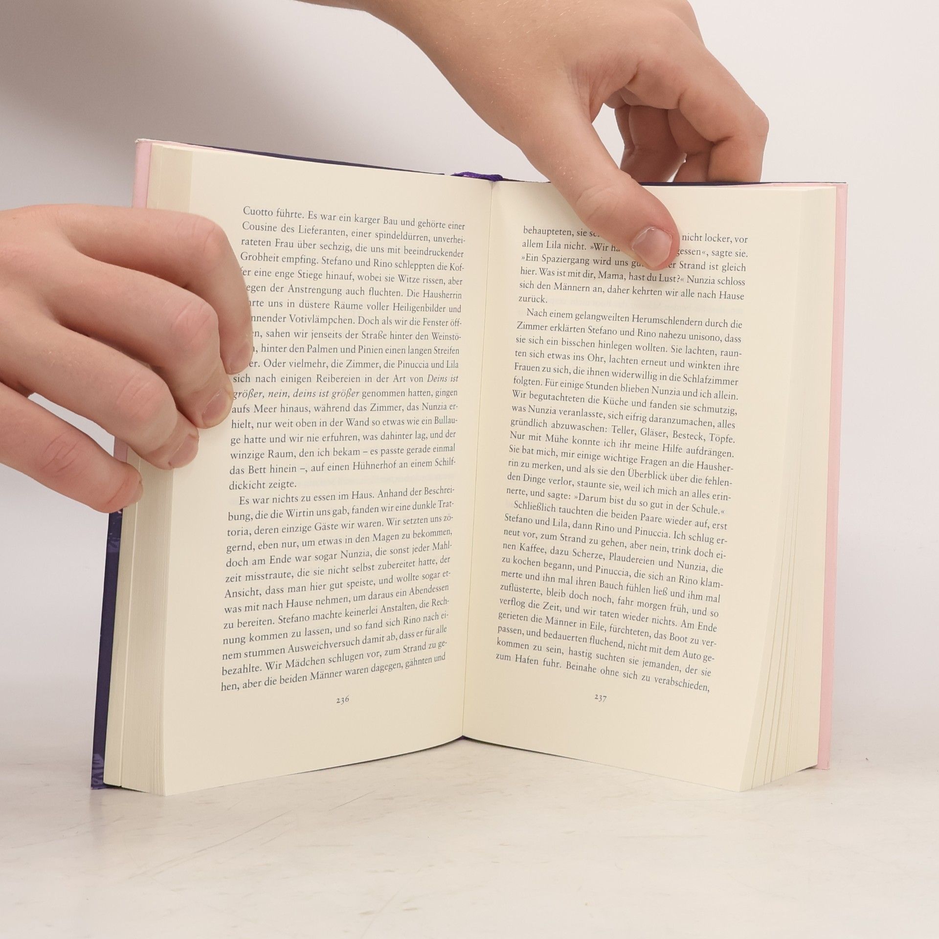 Elena Ferrante Die Geschichte eines neuen Namens: Jugendjahre