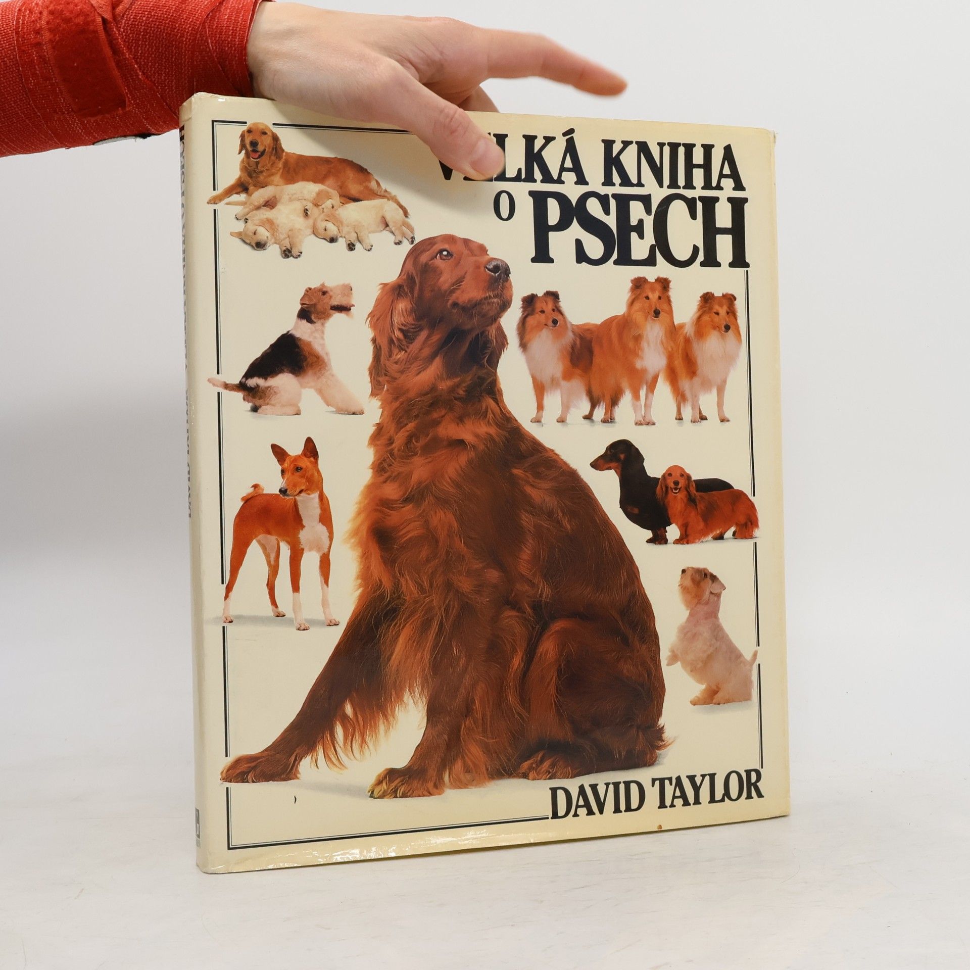 David Taylor Velká kniha o psech