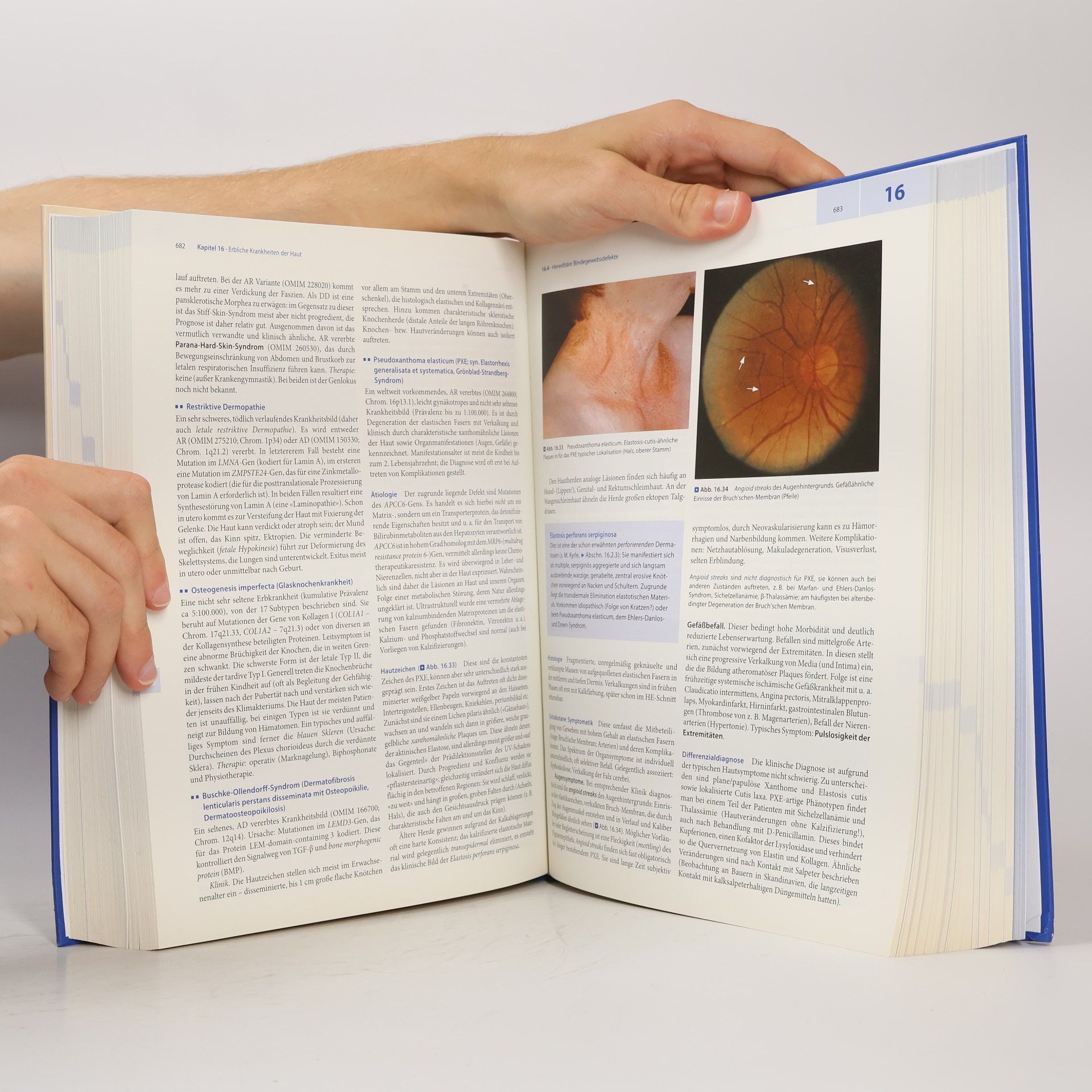 Peter Fritsch Dermatologie Venerologie