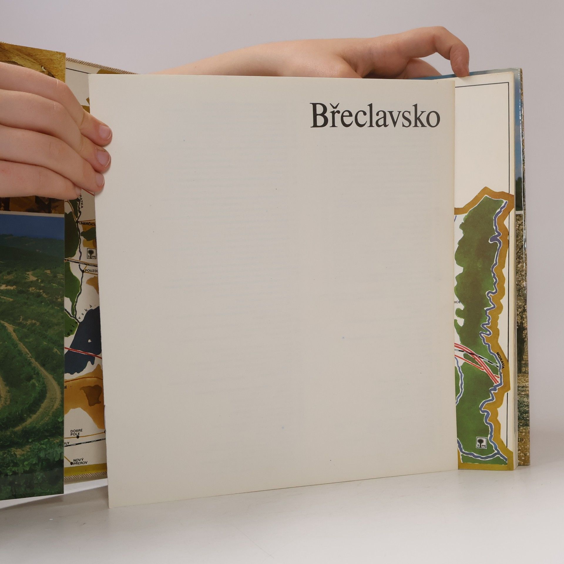 Vladimír Mikulica Břeclavsko