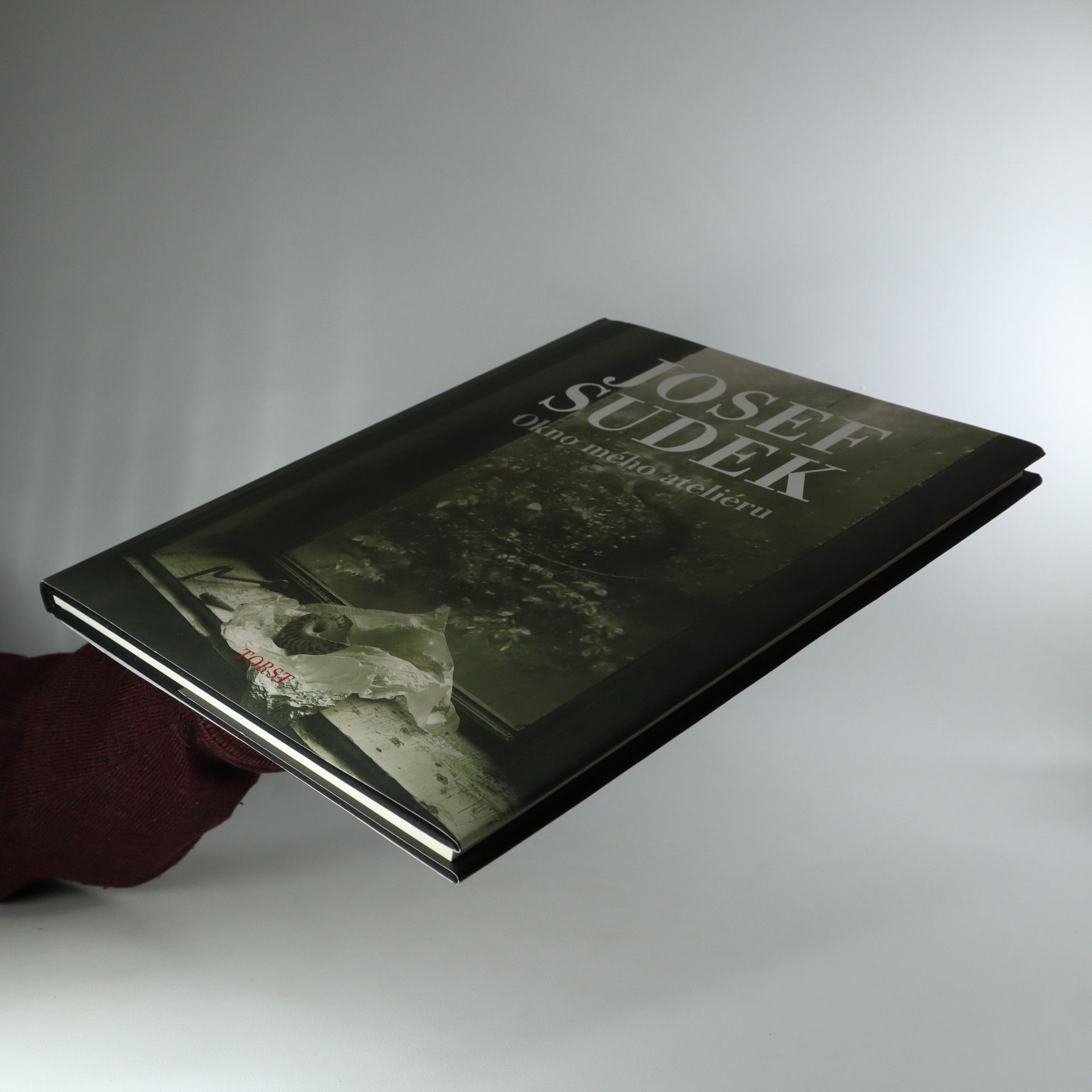 Josef Sudek Okno mého ateliéru