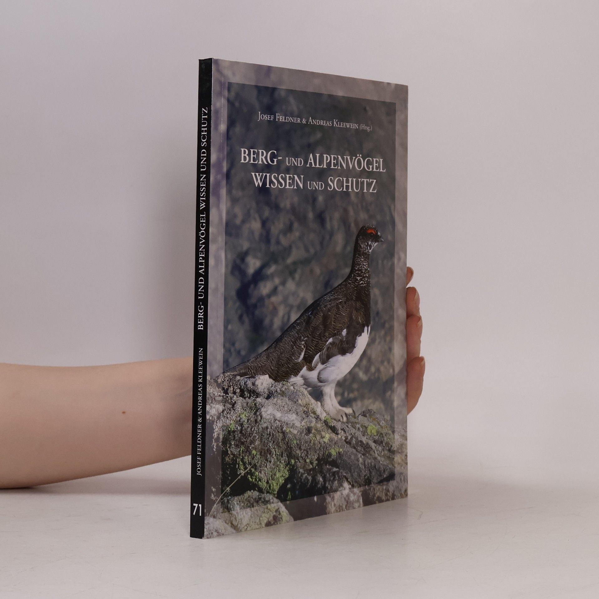 Andreas Kleewein Berg- und Alpenvögel Wissen und Schutz