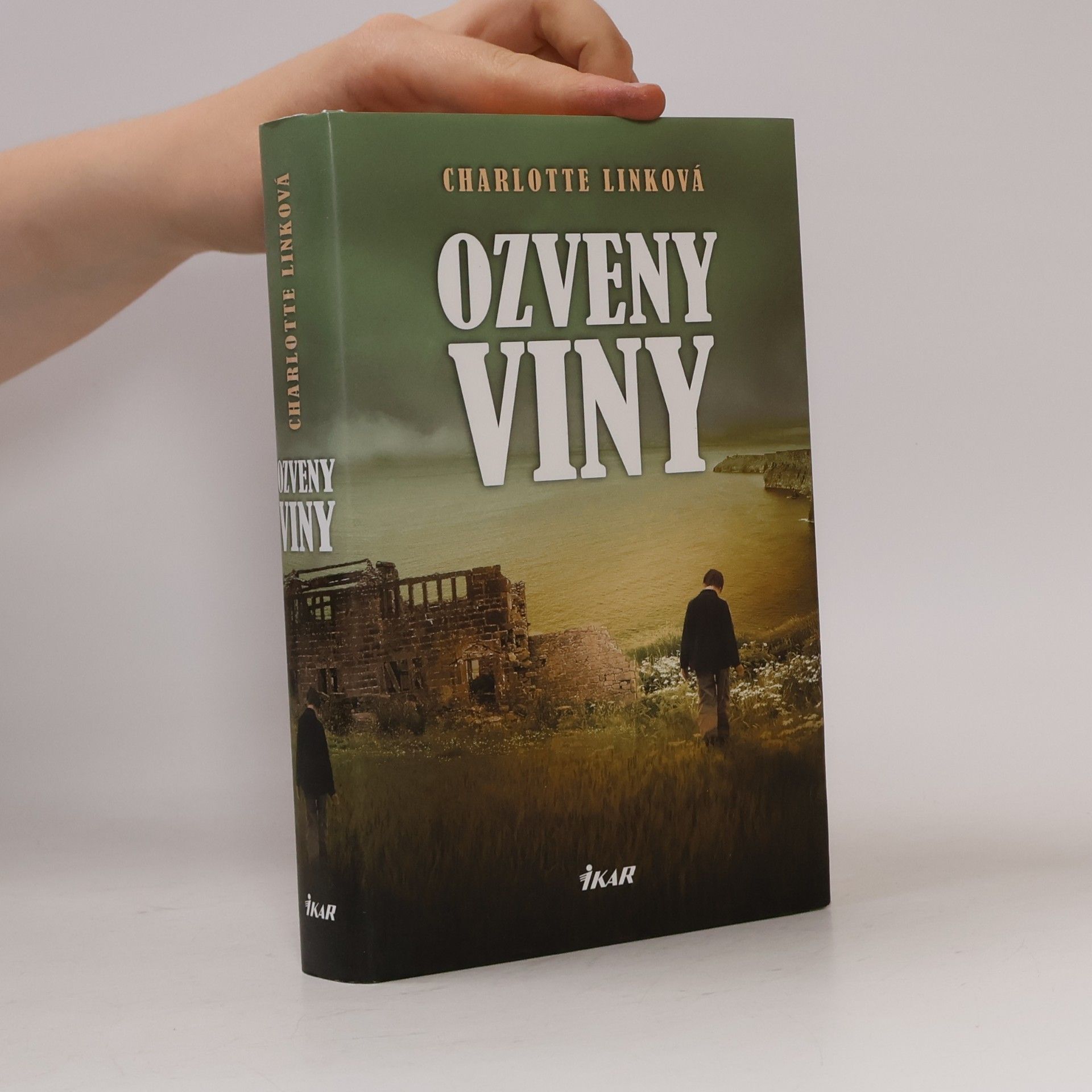 Charlotte Link Ozveny viny