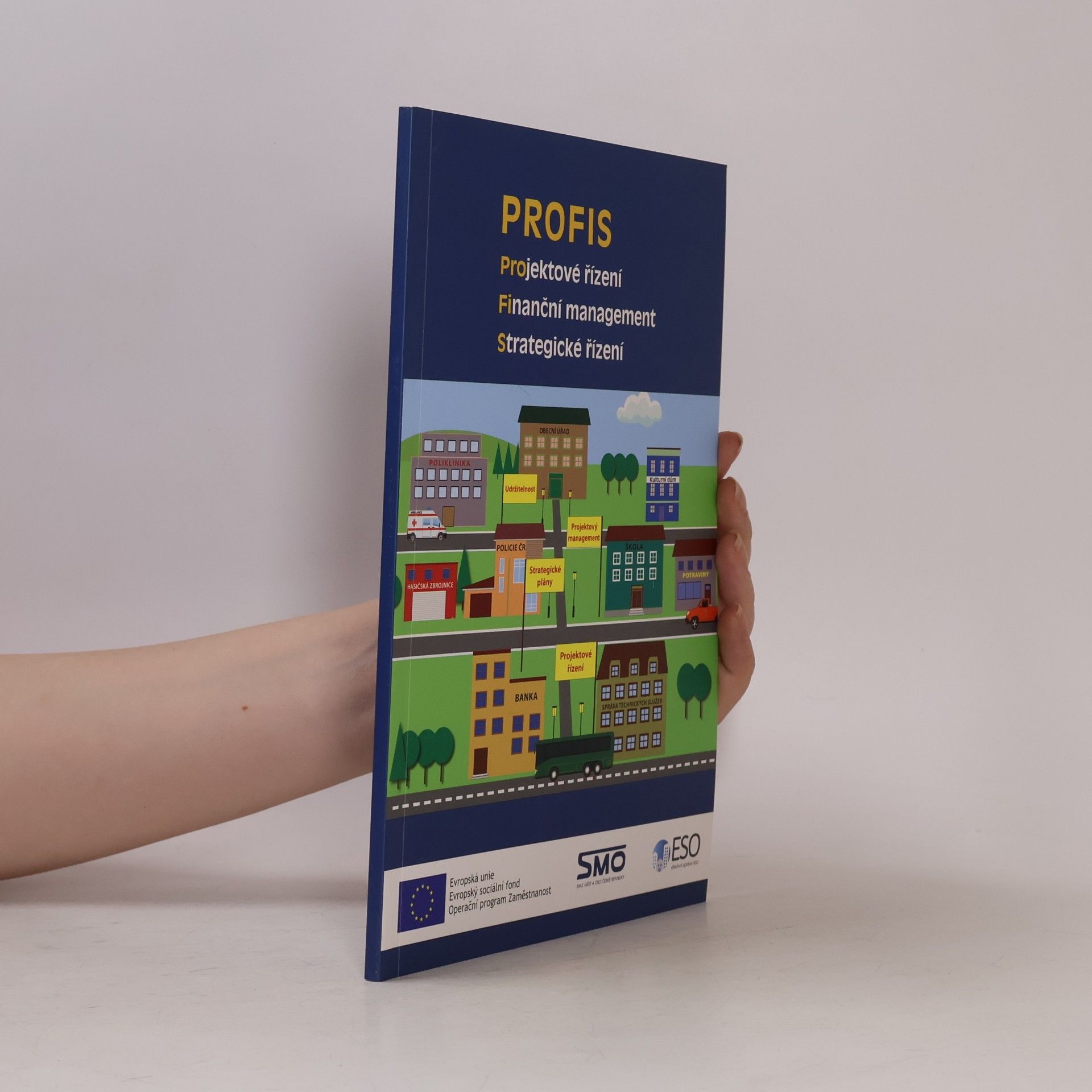 PROFIS : projektové řízení, finanční management, strategické řízení