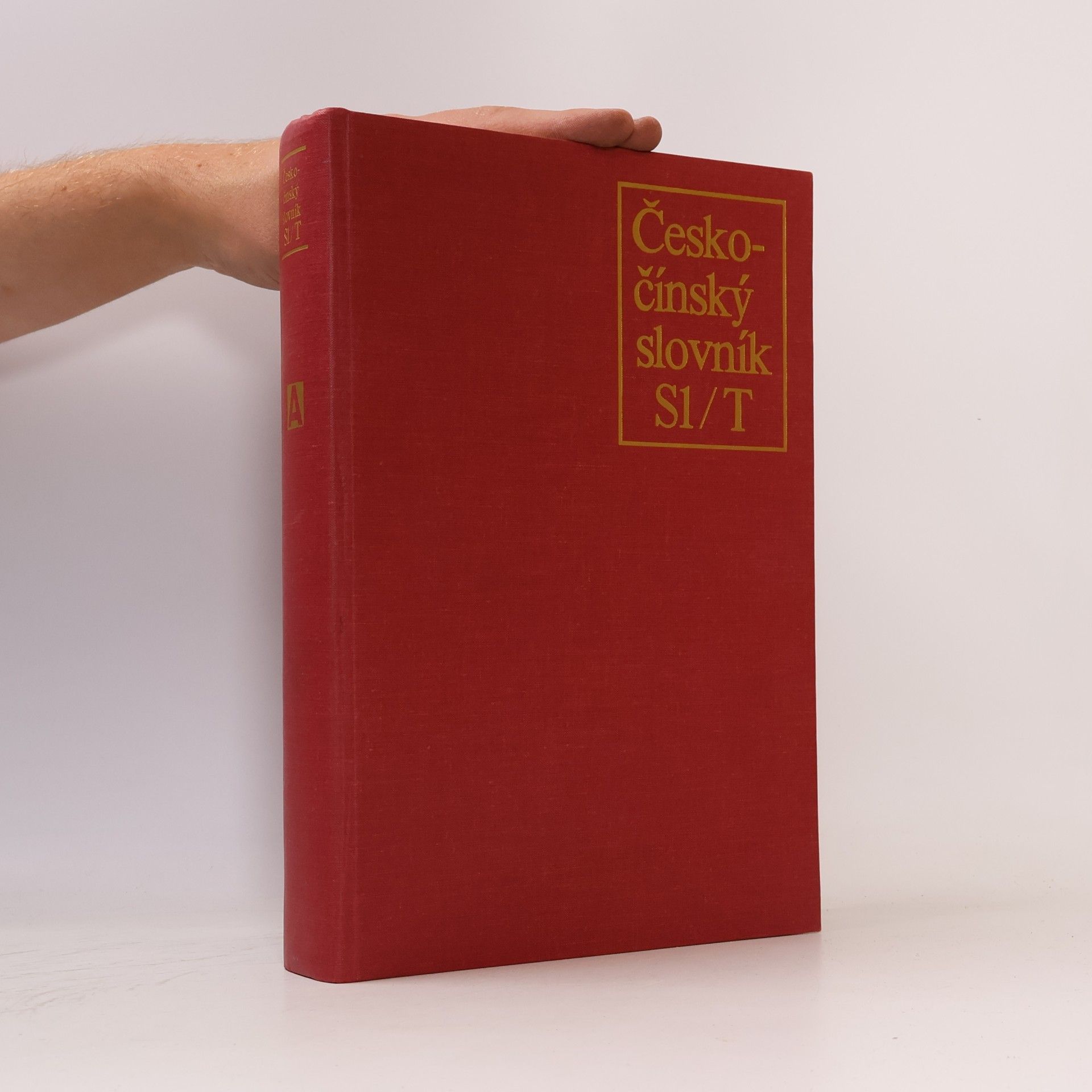 Autorenkollektiv Česko-čínský slovník (Sl/T)