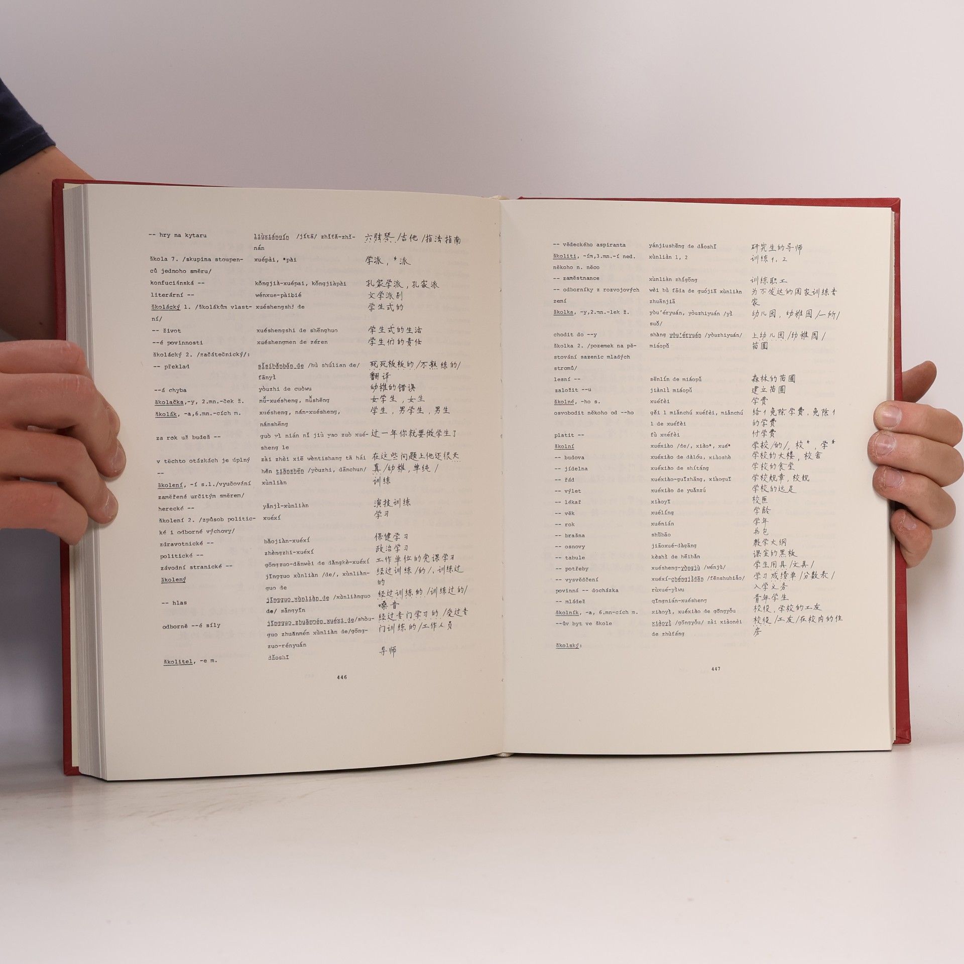 Autorenkollektiv Česko-čínský slovník (Sl/T)