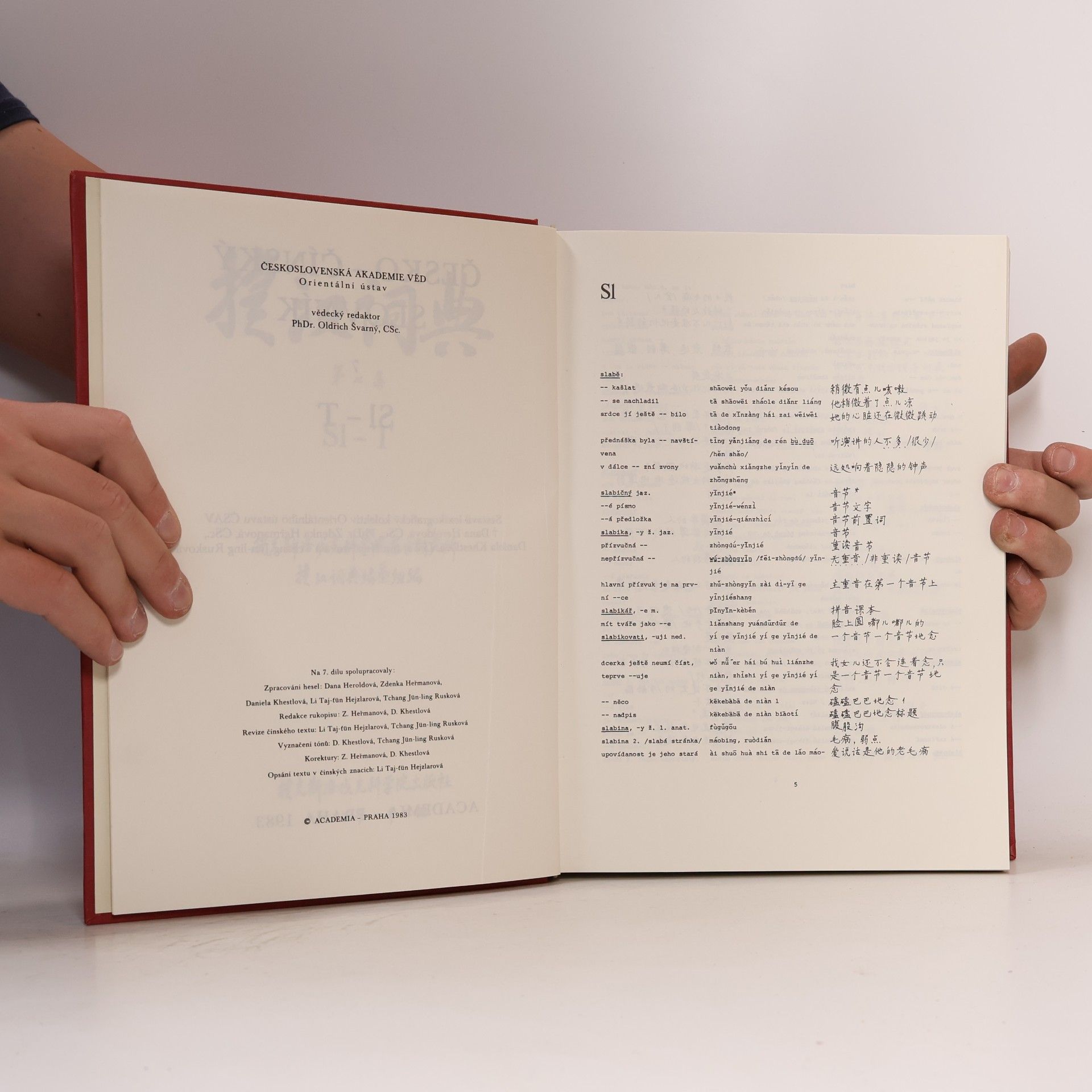 Autorenkollektiv Česko-čínský slovník (Sl/T)