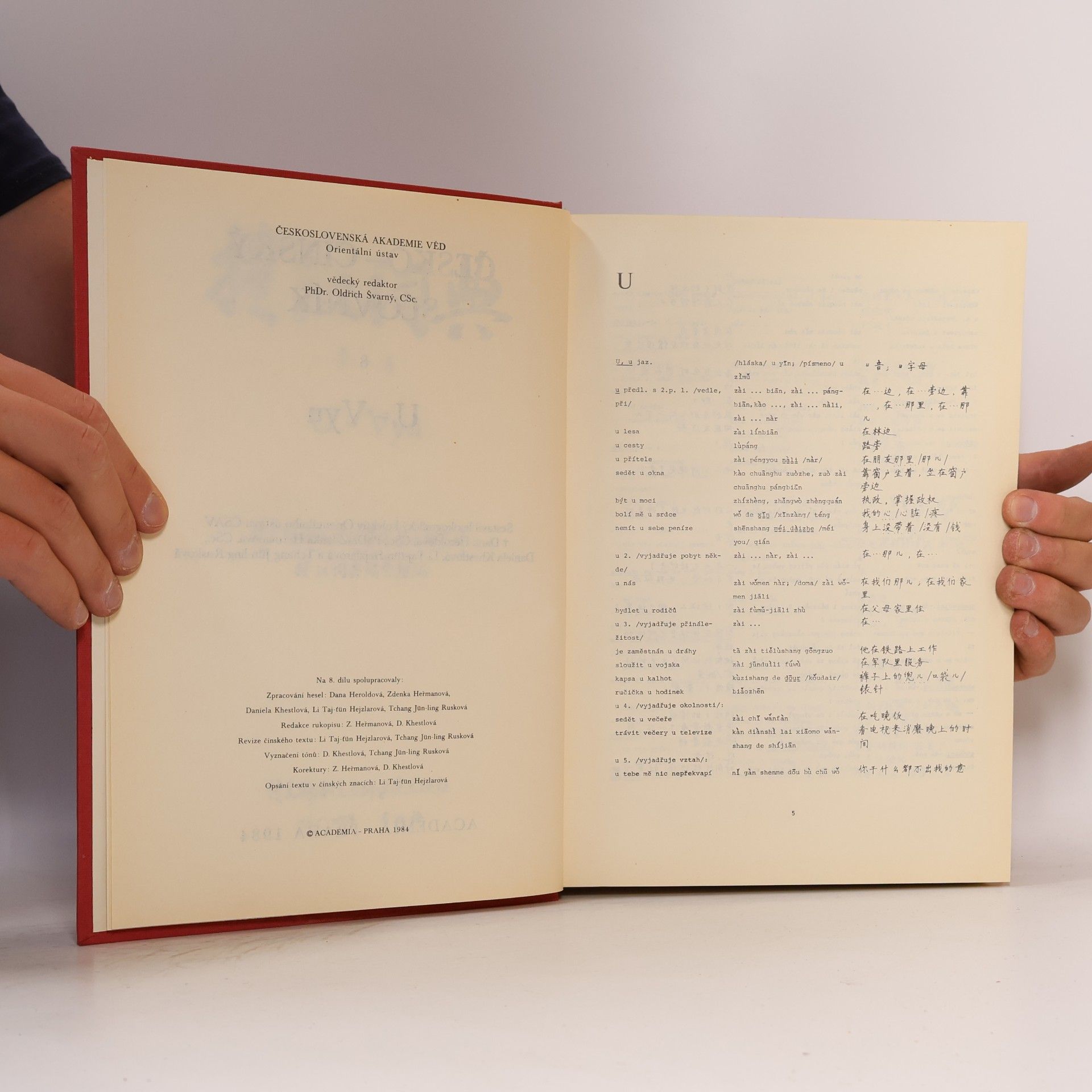 Autores varios Česko-čínský slovník (U/Vyu)