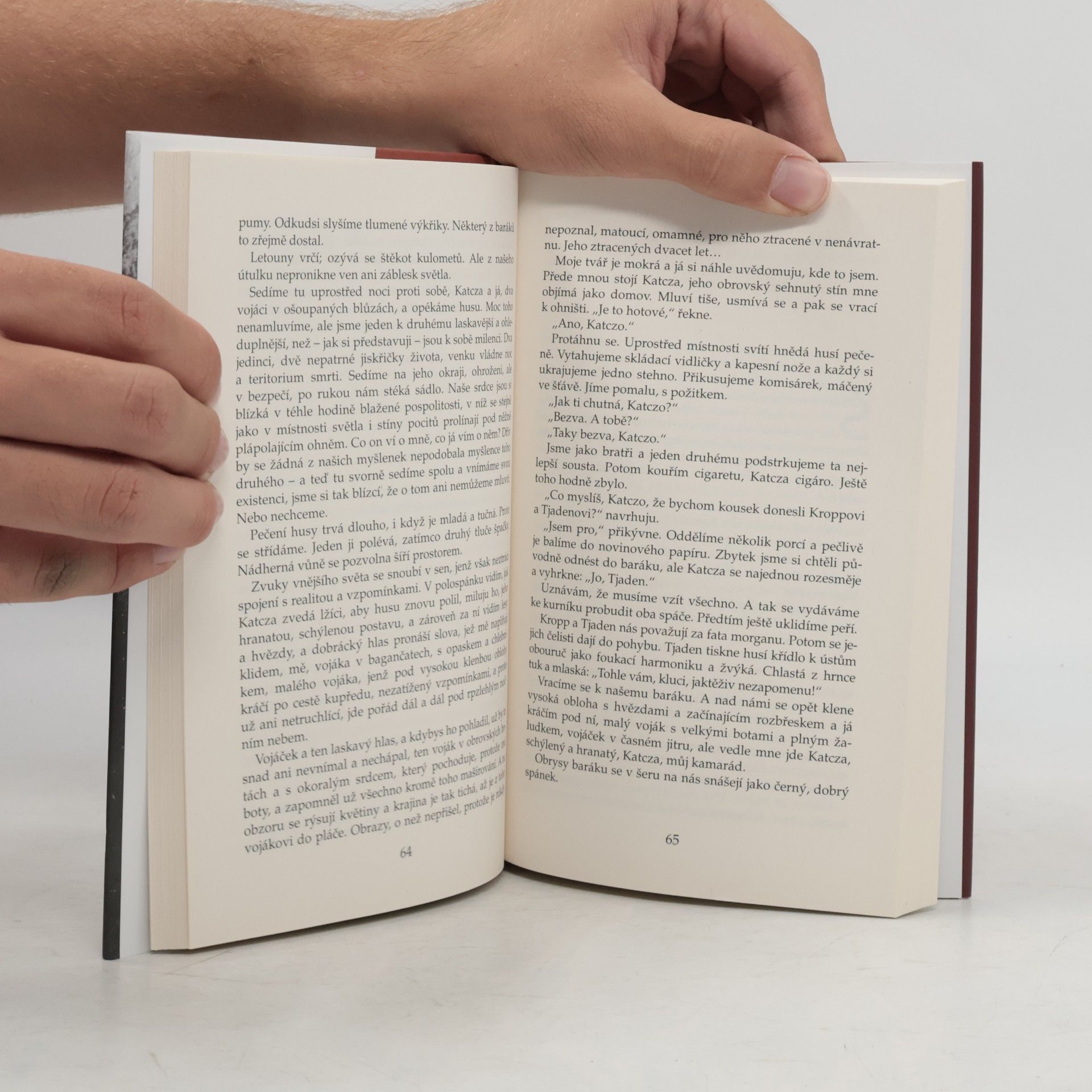 Erich Maria Remarque Na západní frontě klid