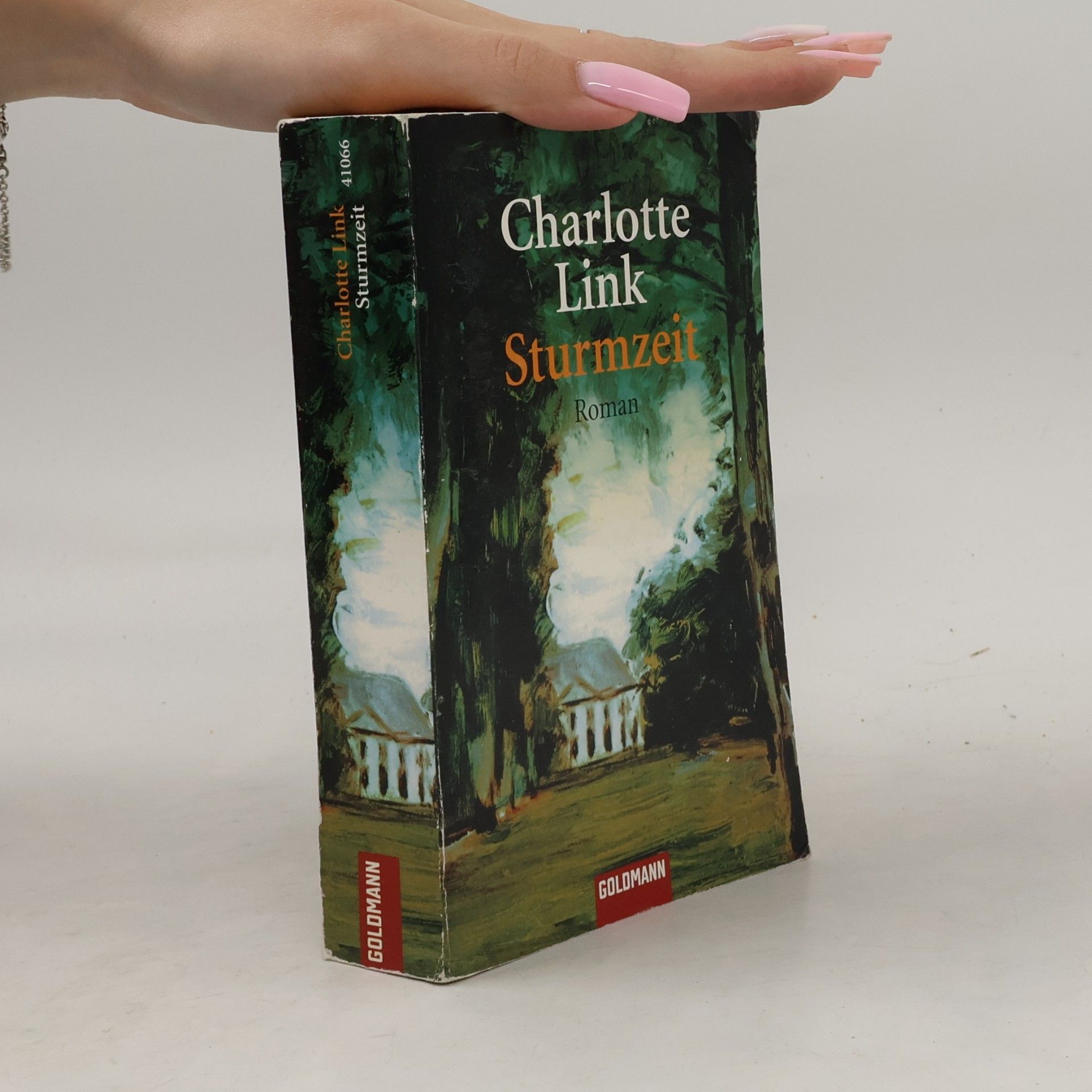 Charlotte Link Sturmzeit