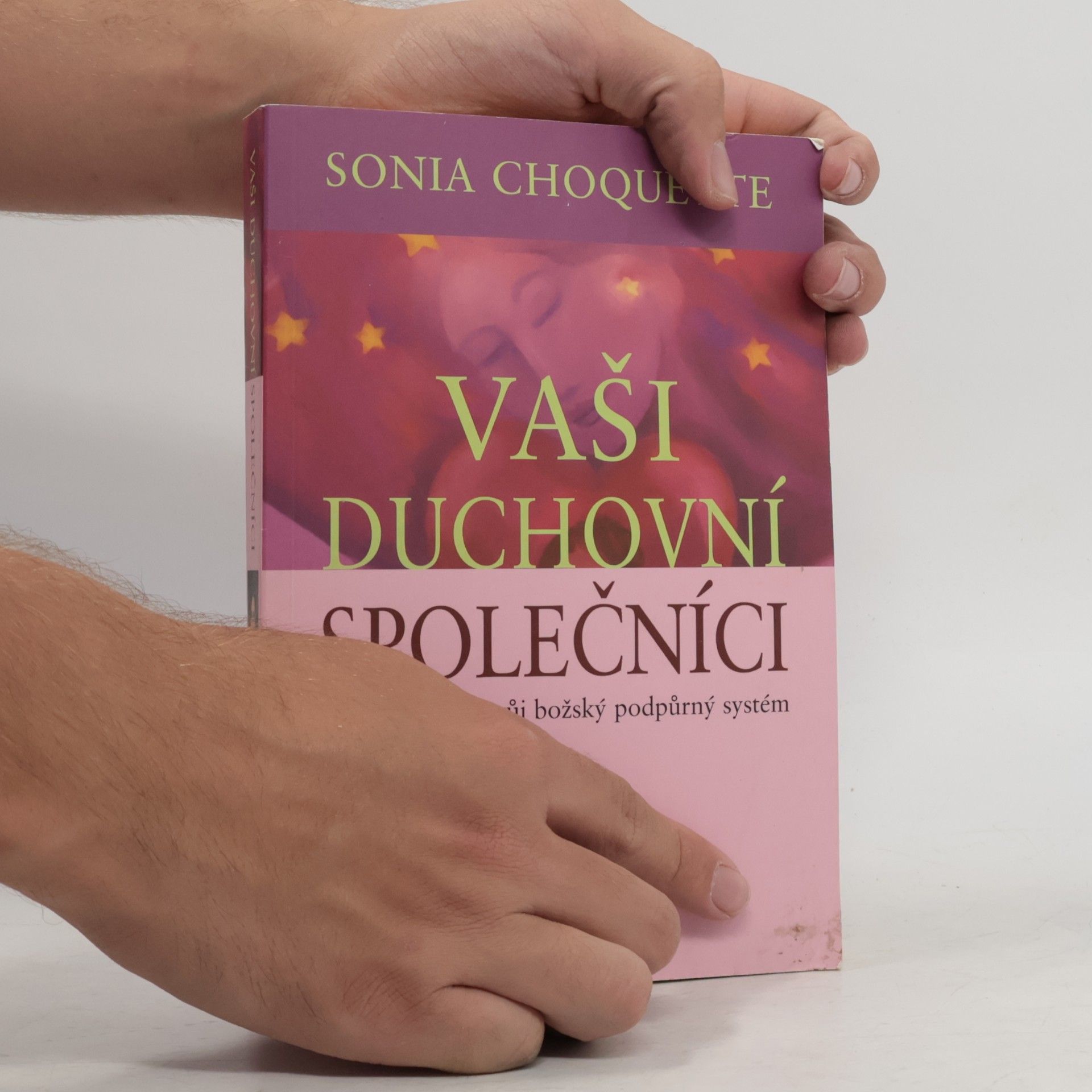 Sonia Choquette Vaši duchovní společníci : napojte se na svůj božský podpůrný systém