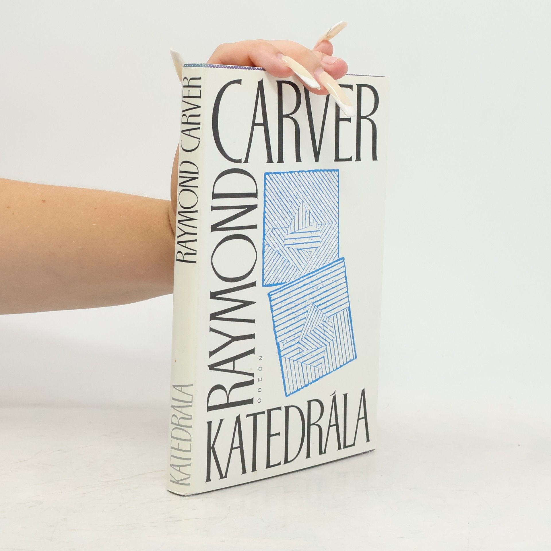 Raymond Carver Katedrála (a jiné povídky)