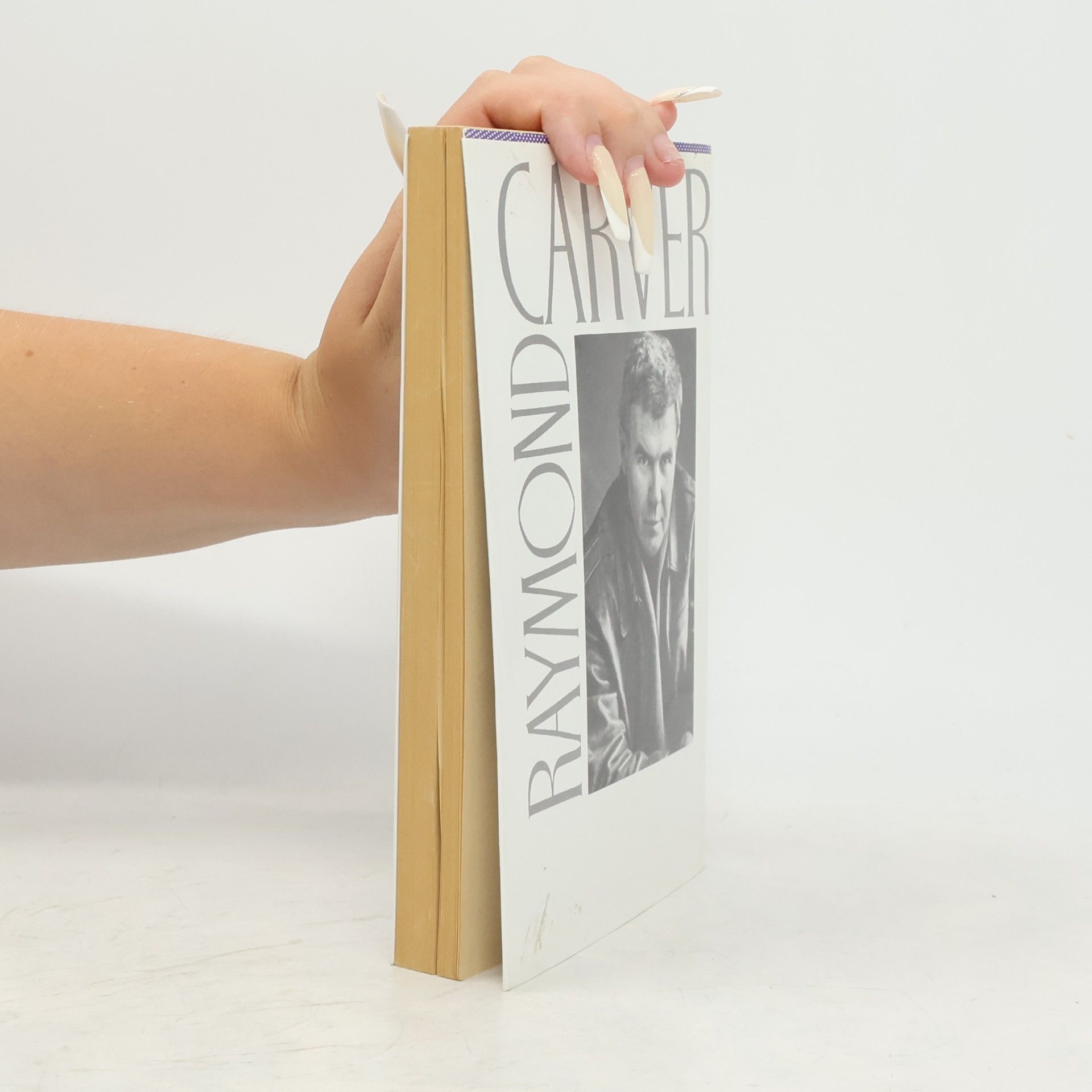 Raymond Carver Katedrála (a jiné povídky)
