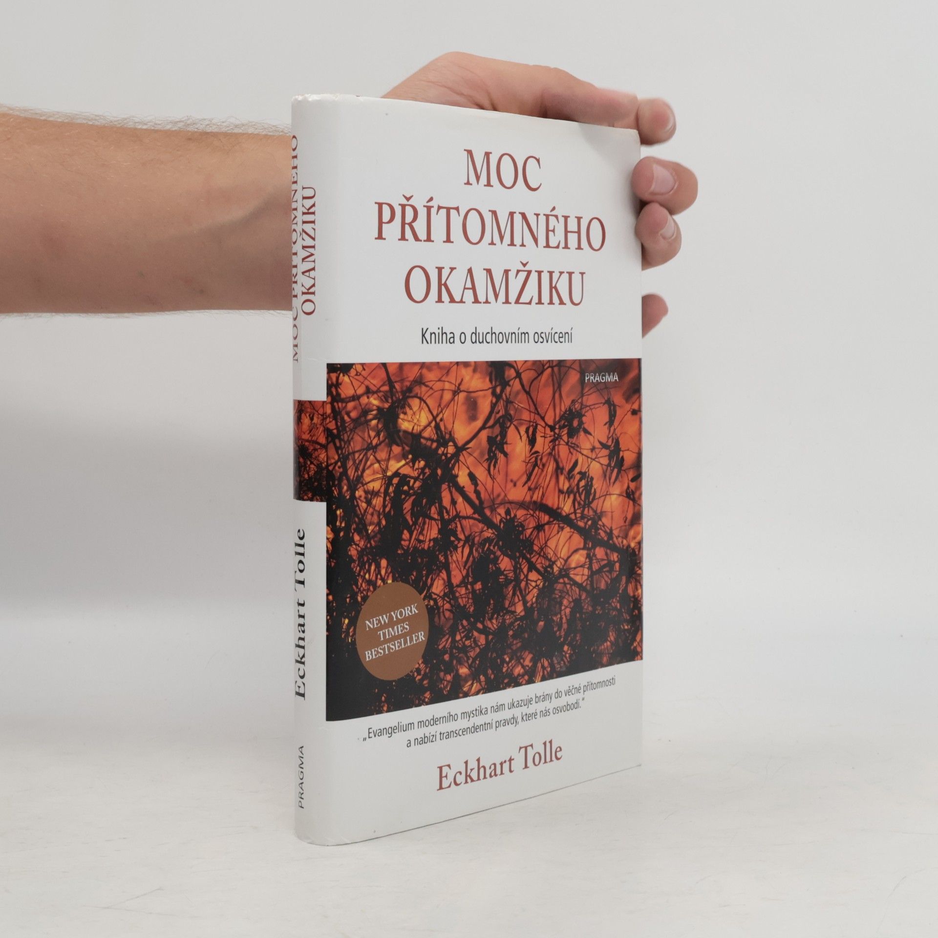 Eckhart Tolle Moc přítomného okamžiku