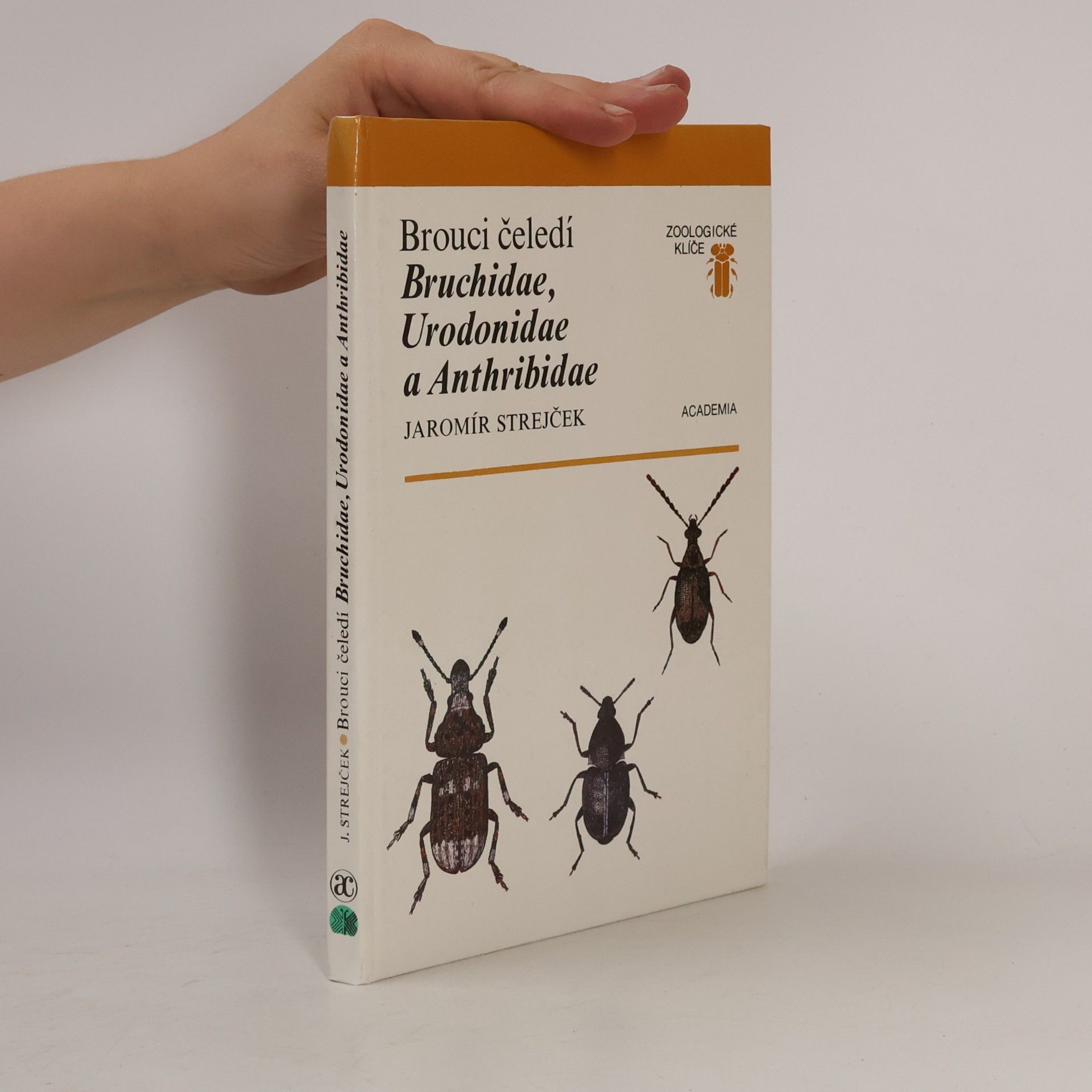 Brouci čeledí Bruchidae,Urodonidae a Anthribidae