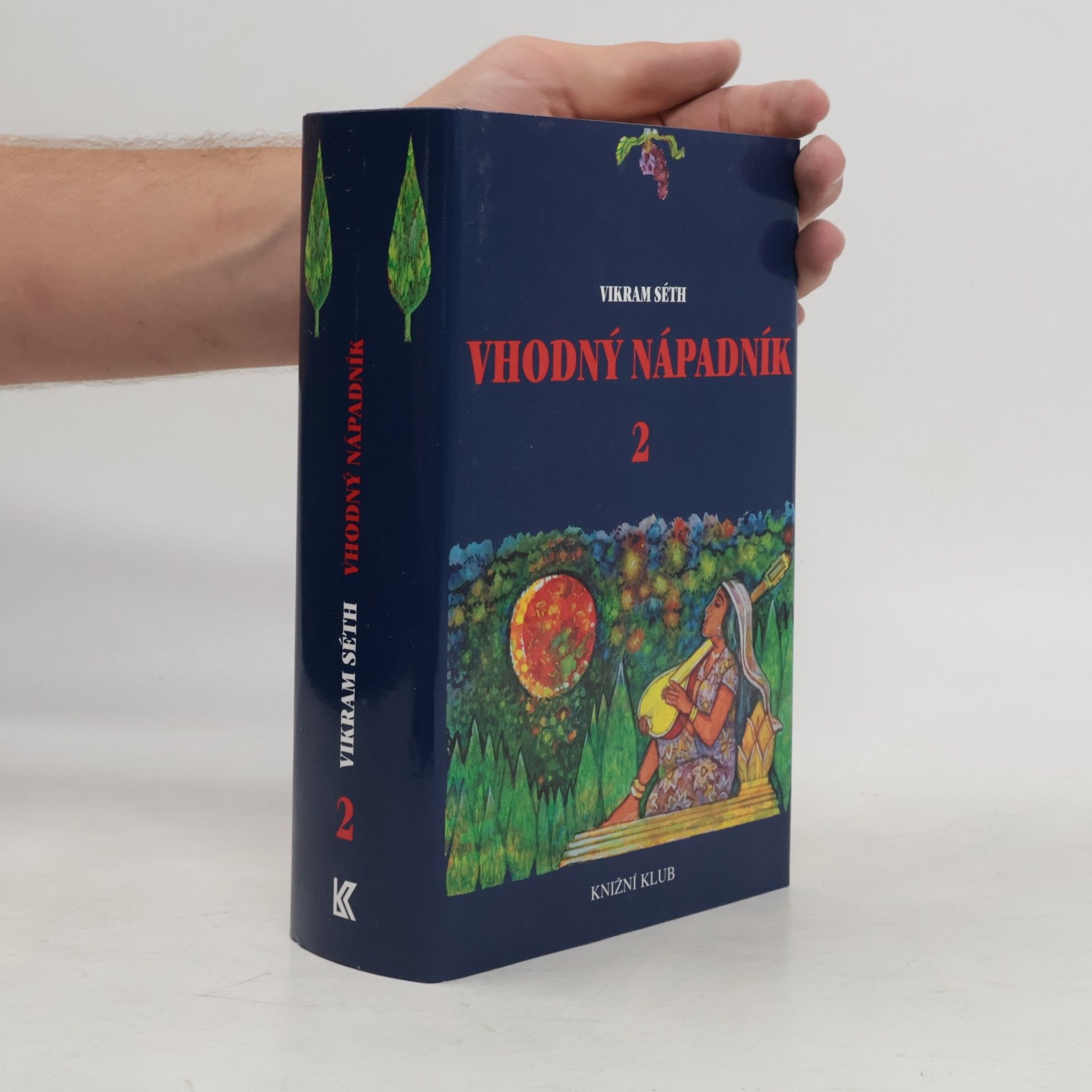 Vikram Seth Vhodný nápadník 2