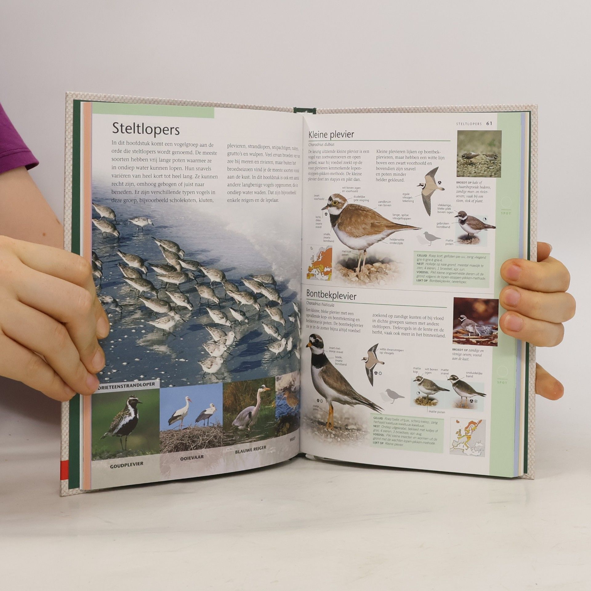Jonathan Elphick Vogels in Nederland 1