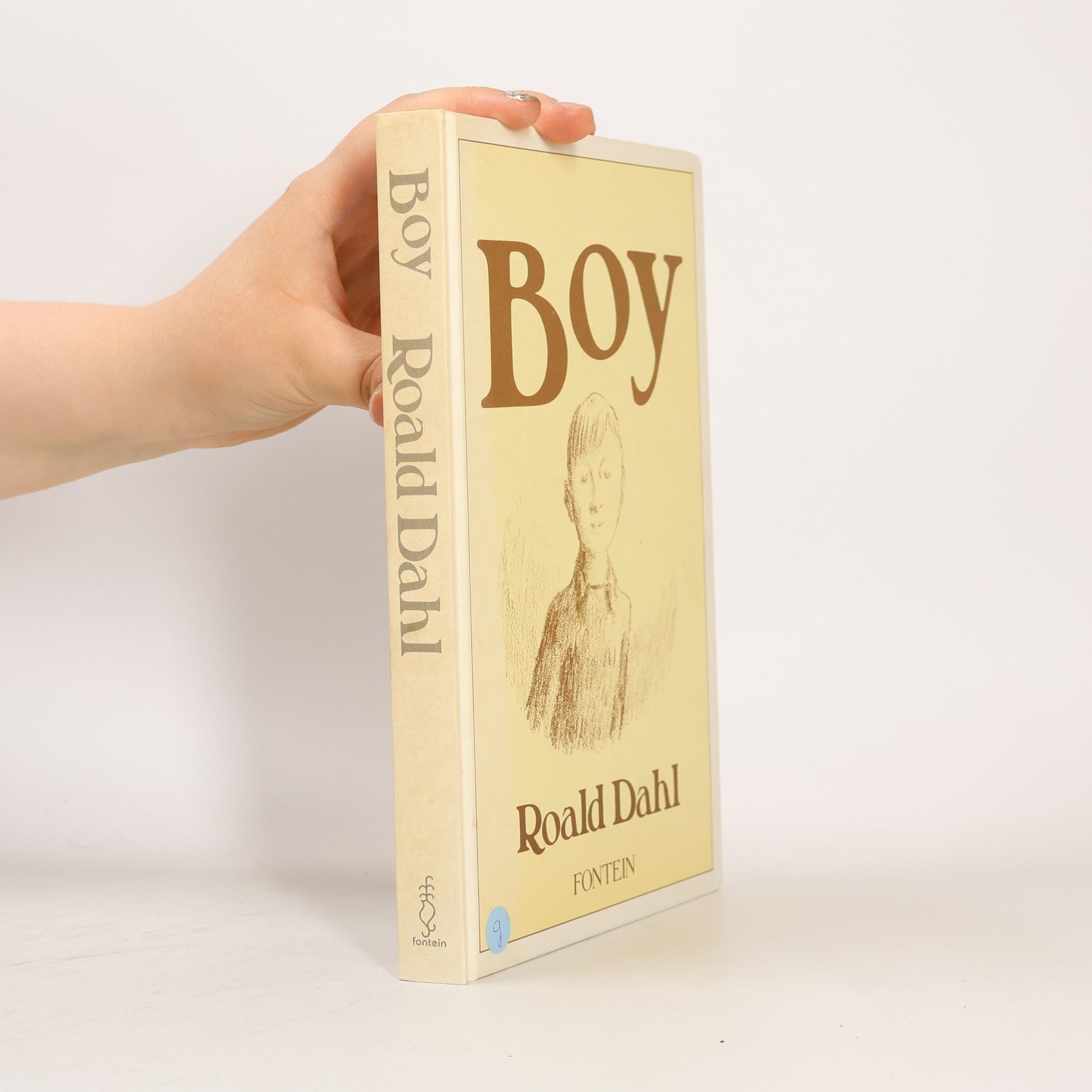 Roald Dahl Boy (New Windmills KS3)