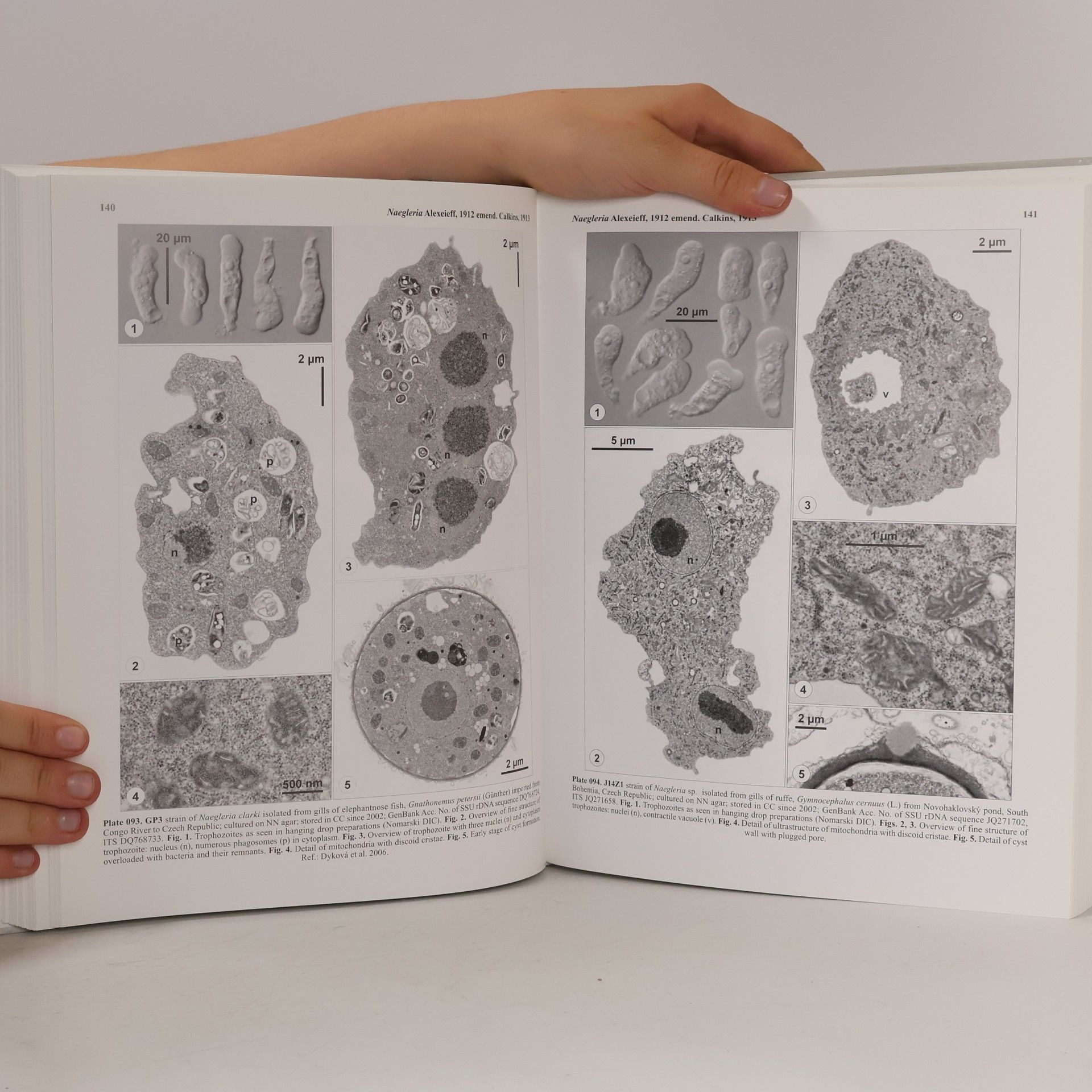 Iva Dyková Illustrated Guide to Culture Collection of Free-living Amoebae