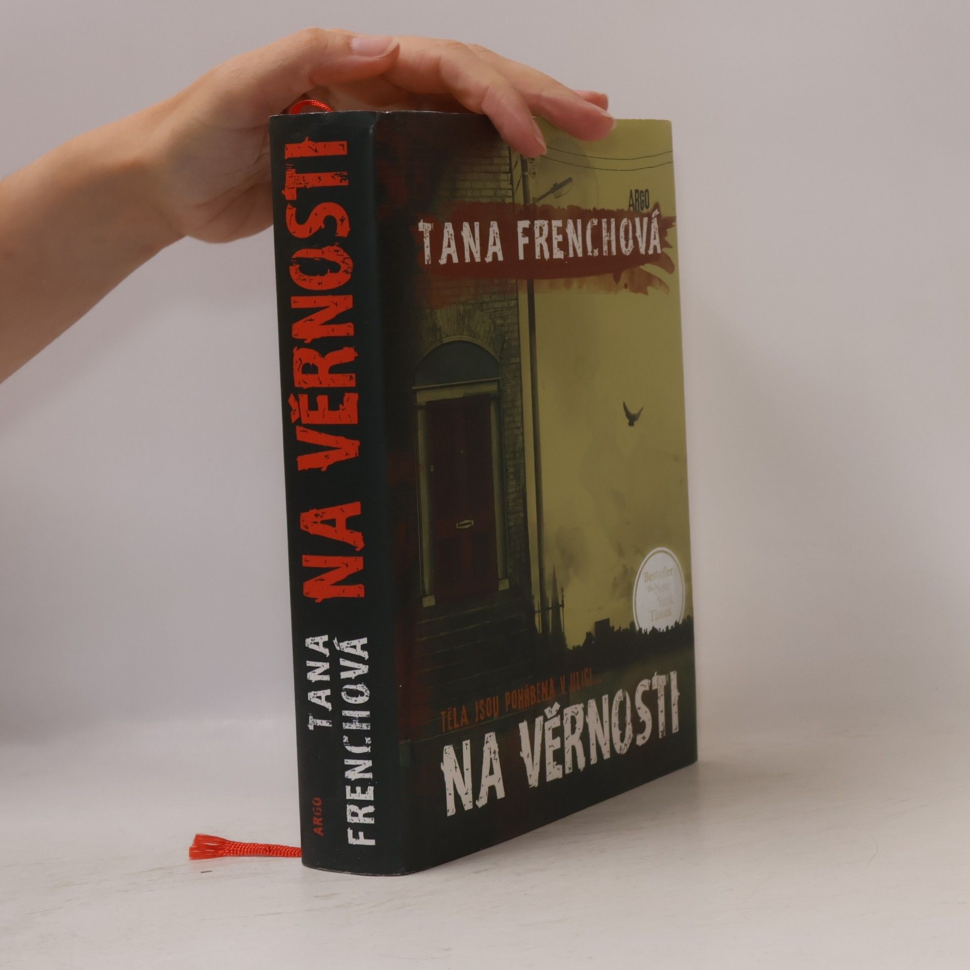 Tana French Na Věrnosti