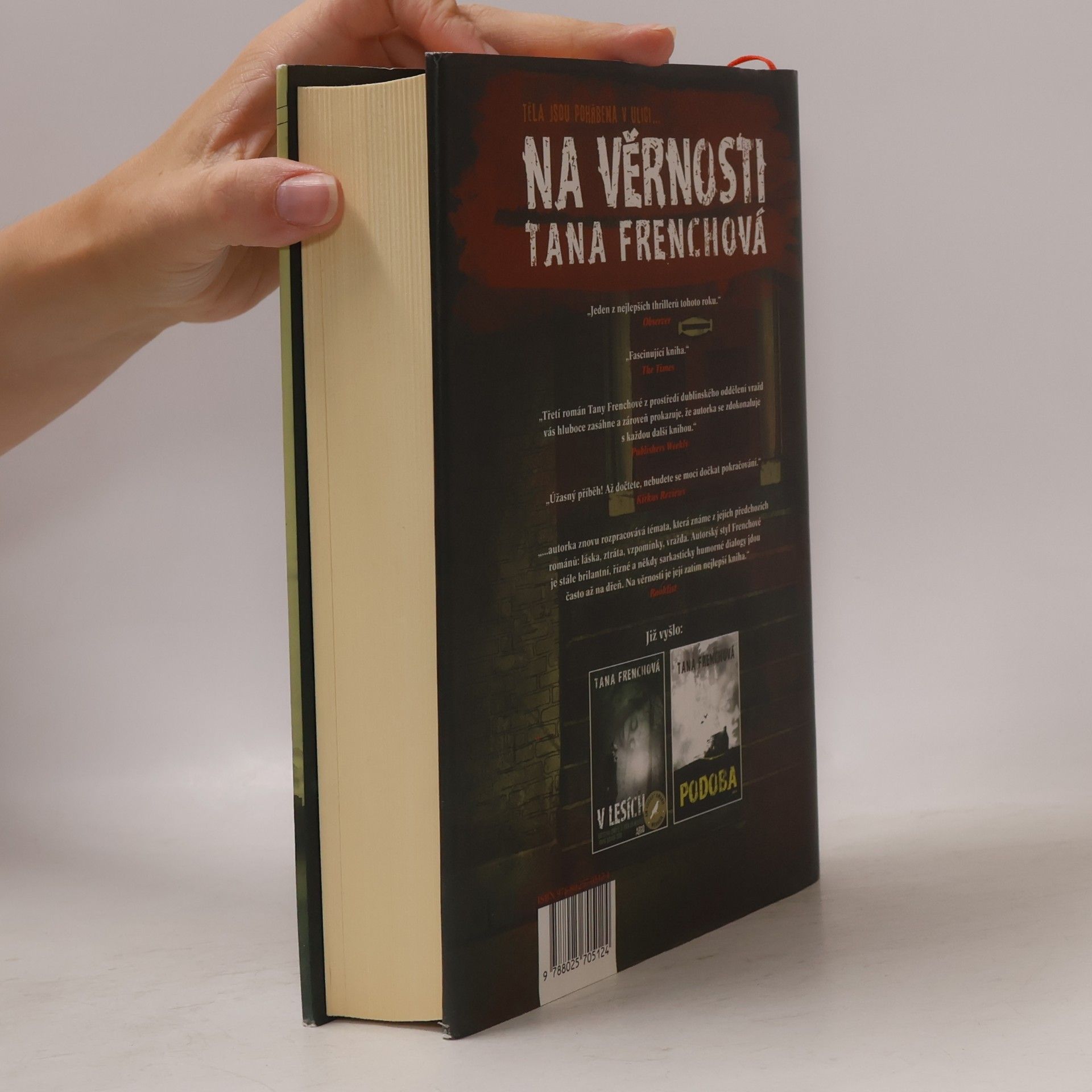 Tana French Na Věrnosti