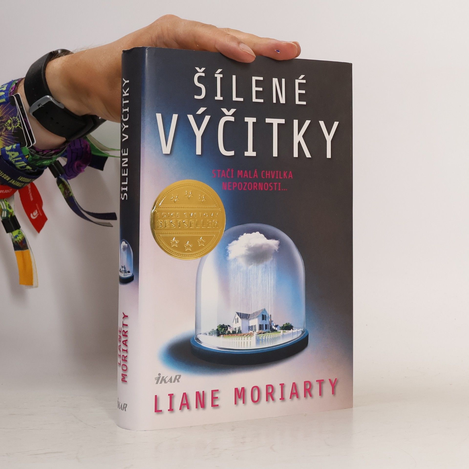 Liane Moriarty Šílené výčitky