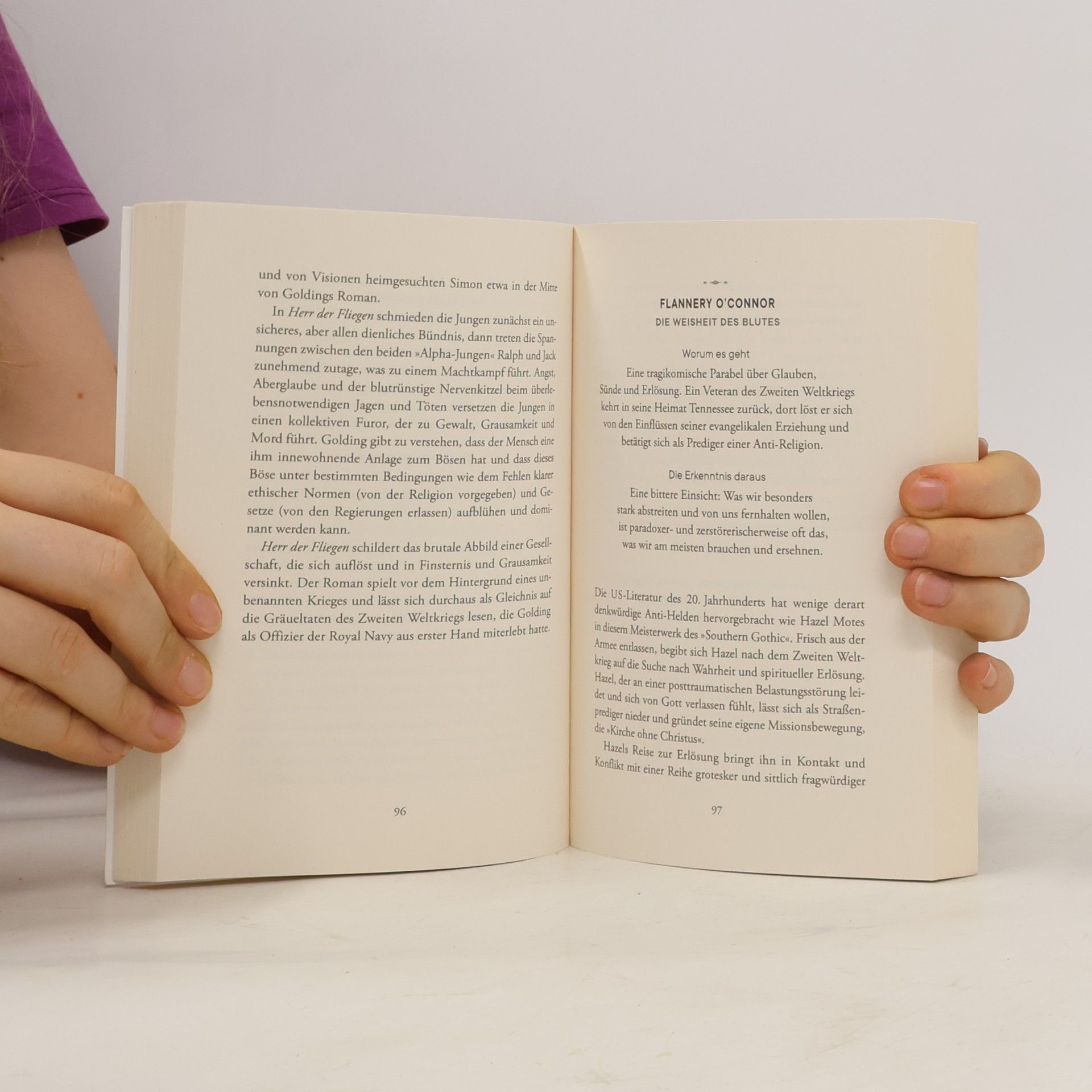 Joseph Piercy Lektionen fürs Leben. Lebensweisheiten aus 100 Werken der Weltliteratur