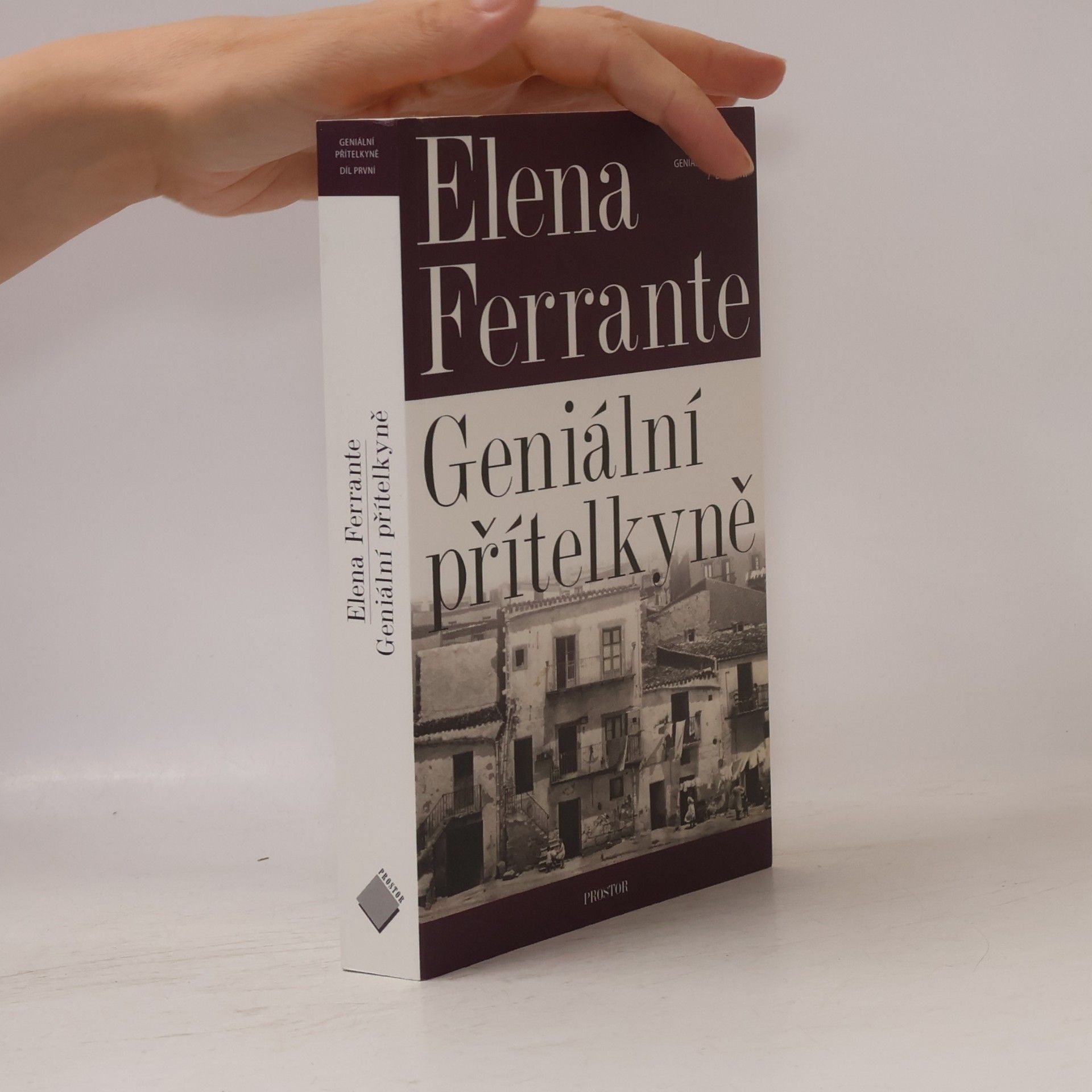 Elena Ferrante Geniální přítelkyně 1. Dětství a dospívání