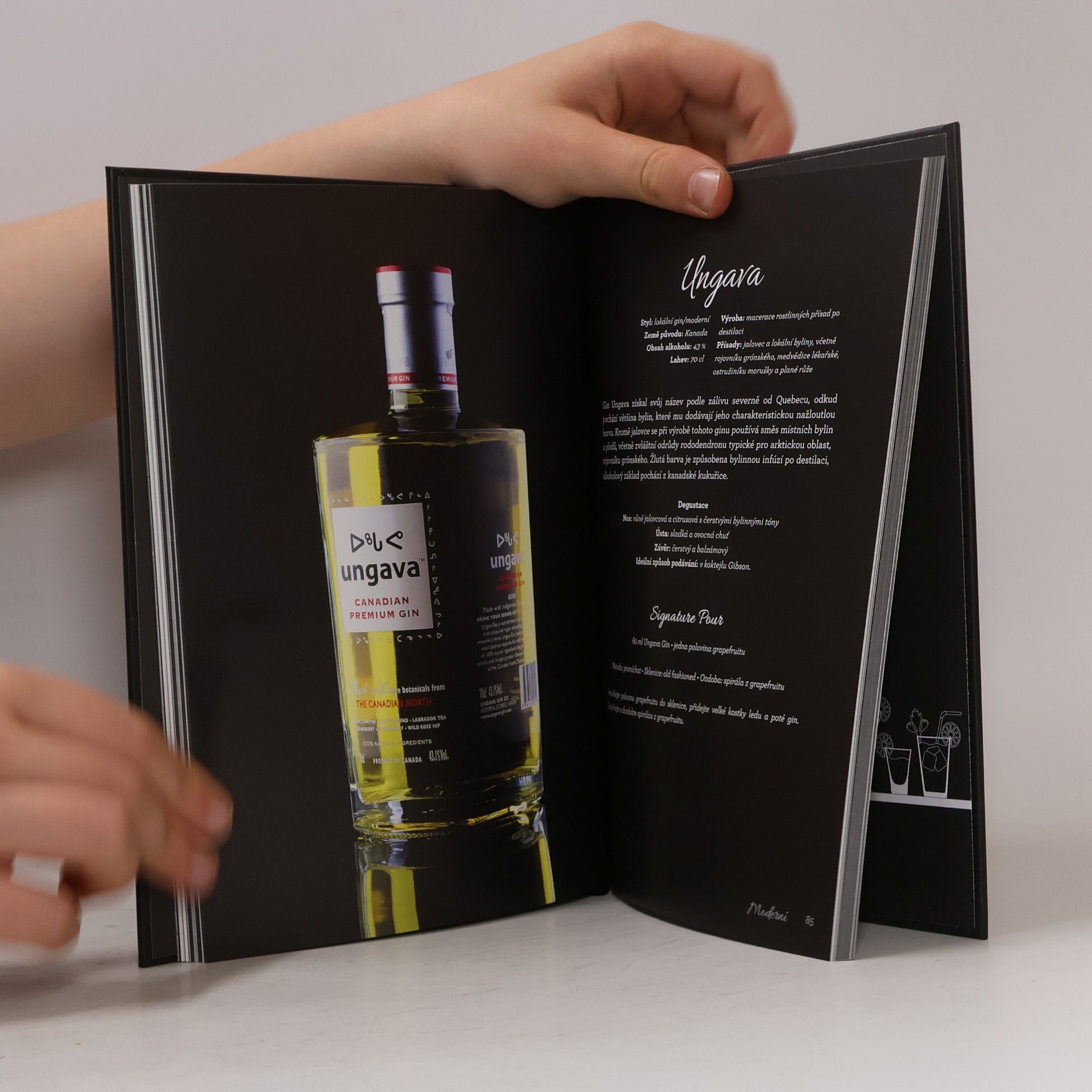 Davide Terziotti Gin : historie, příběhy, trendy a koktejly