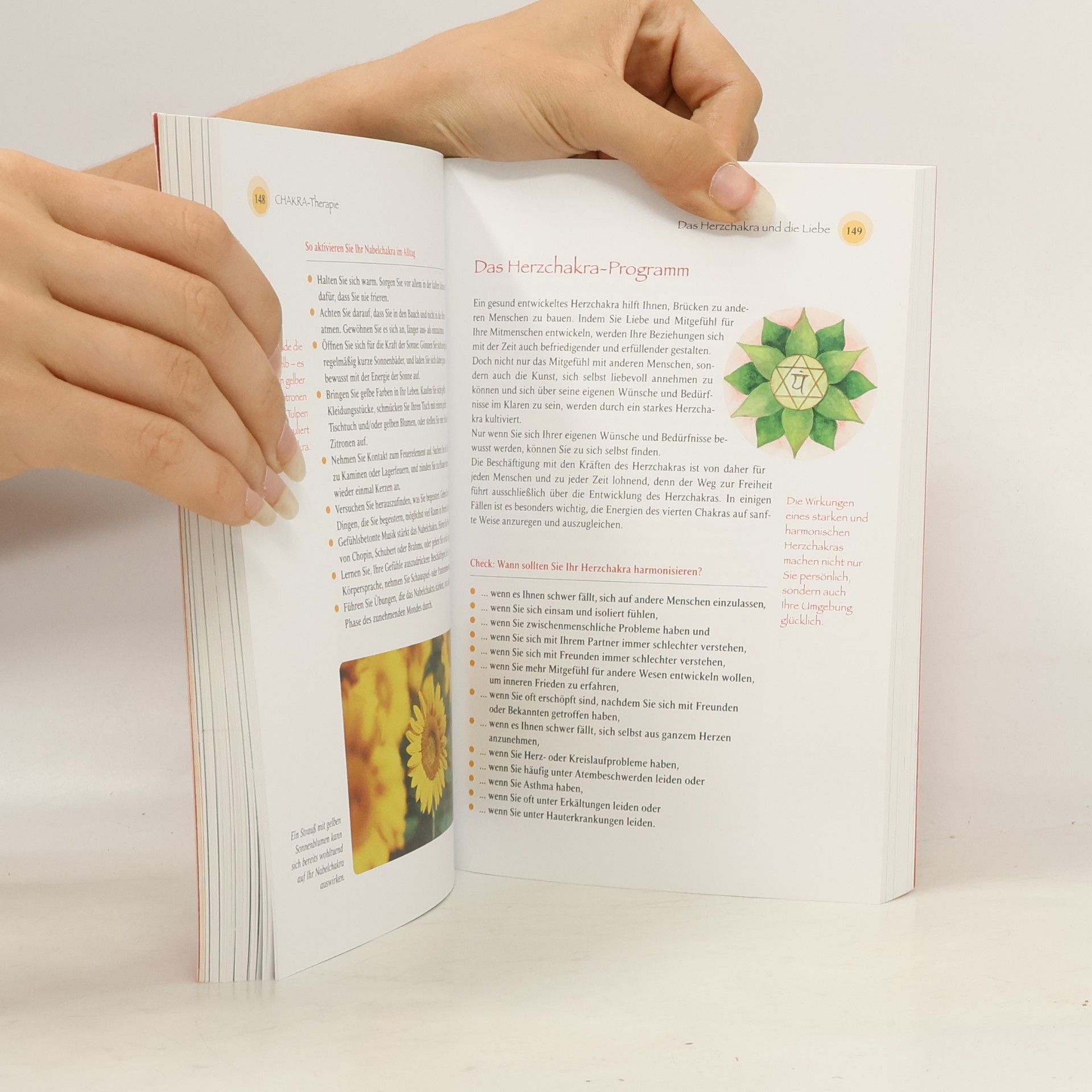 Kalashatra Govinda Chakra-Praxisbuch