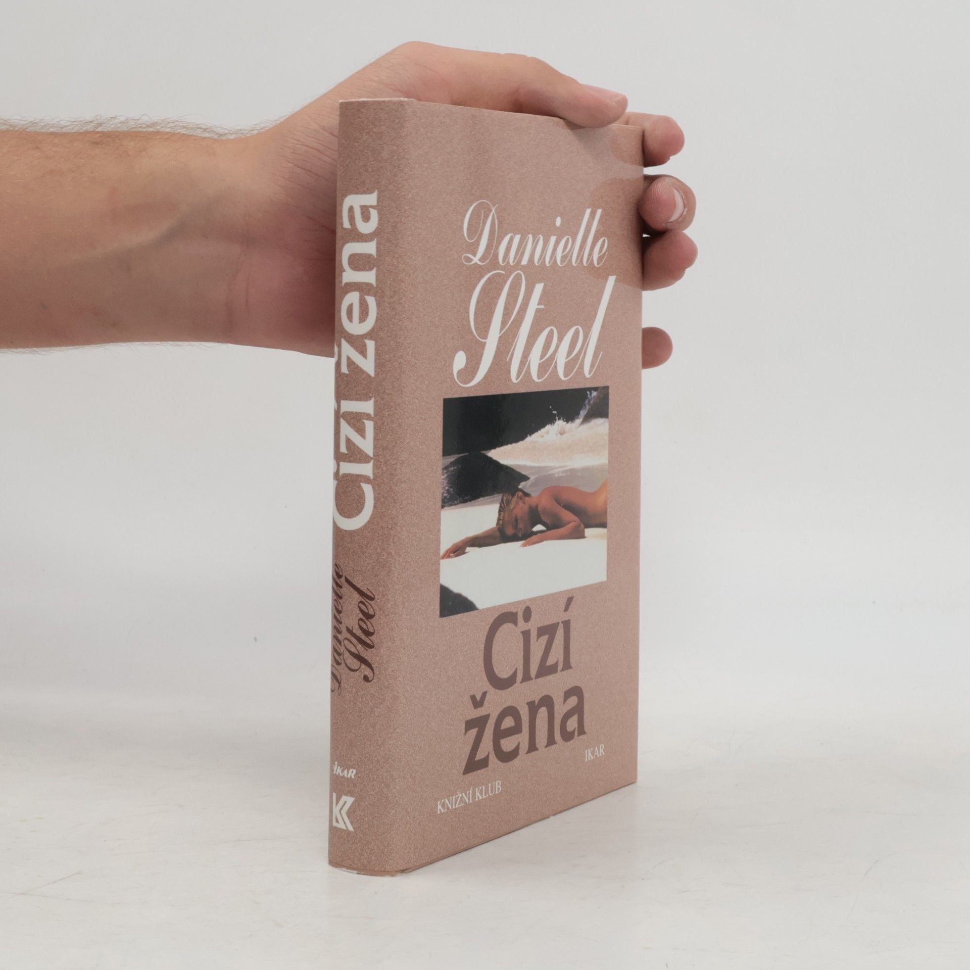 Danielle Steel Cizí žena