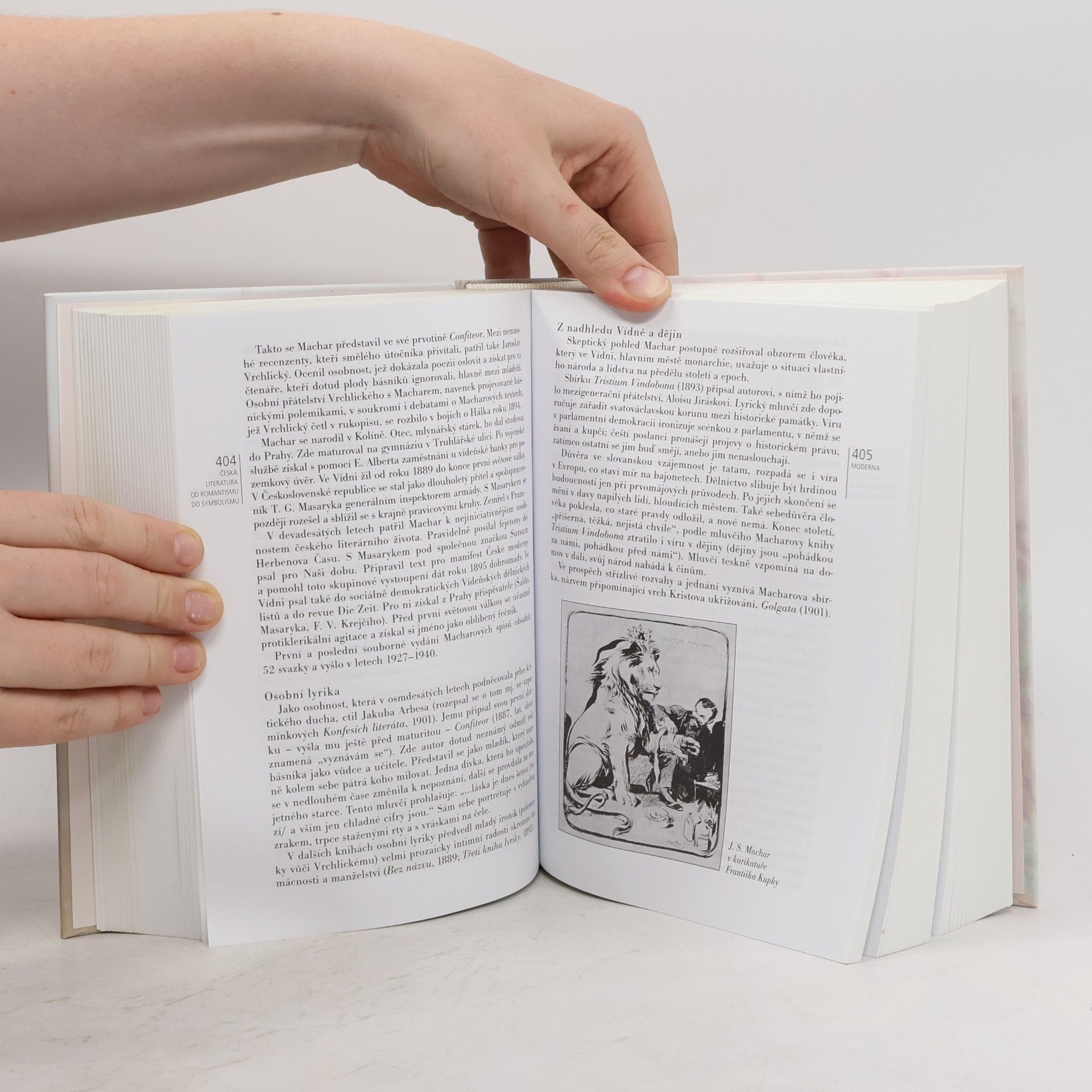 Jiří Holý Česká literatura od počátků k dnešku