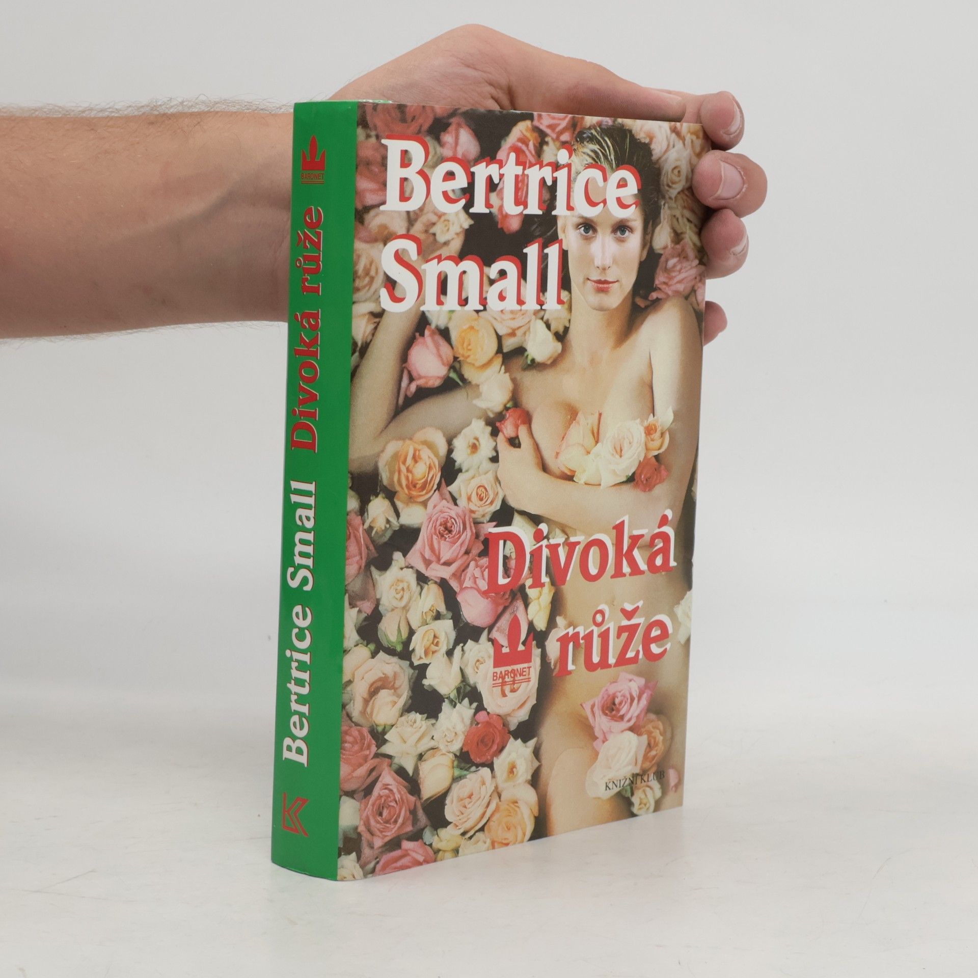 Bertrice Small Divoká růže