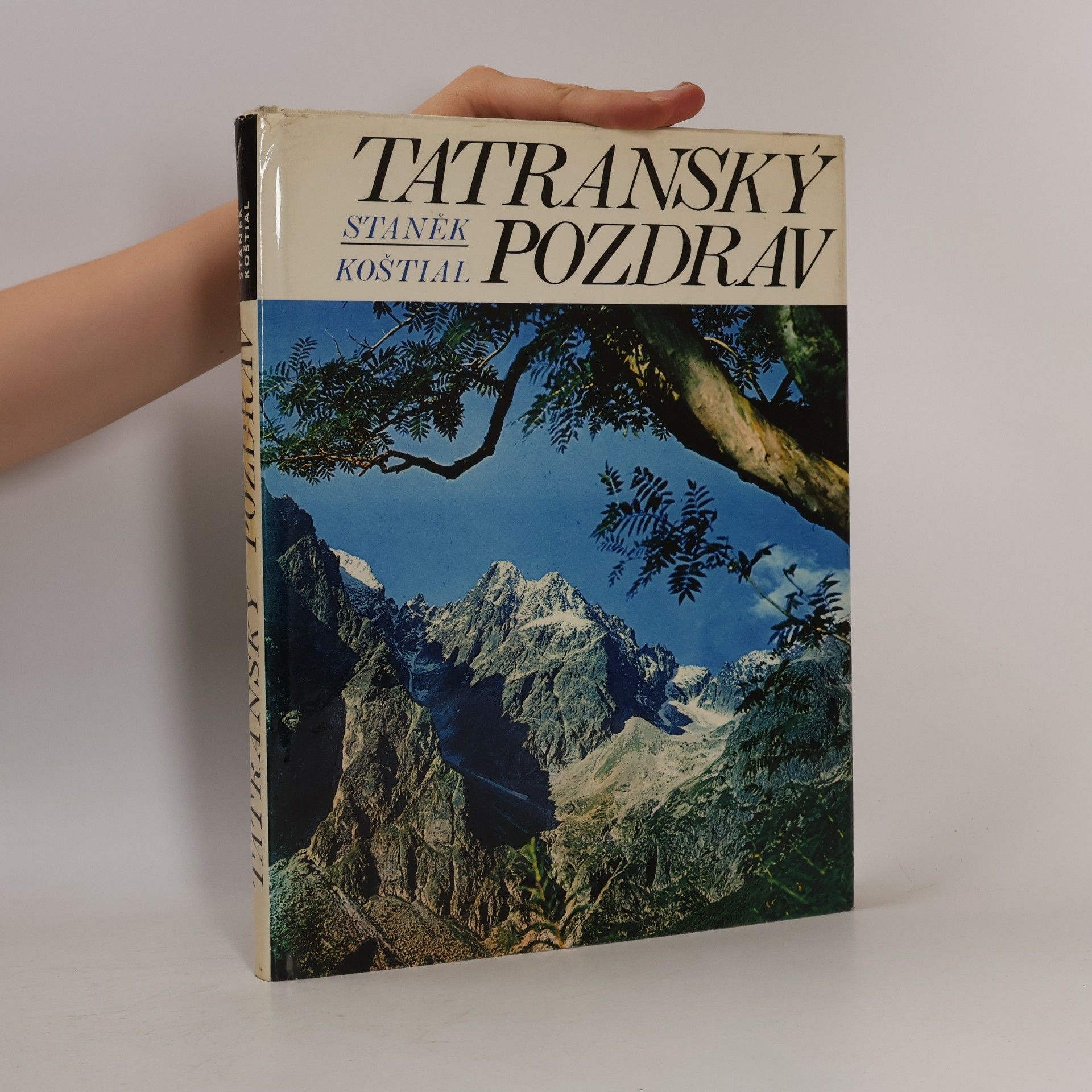 Vladimír Koštial Tatranský pozdrav
